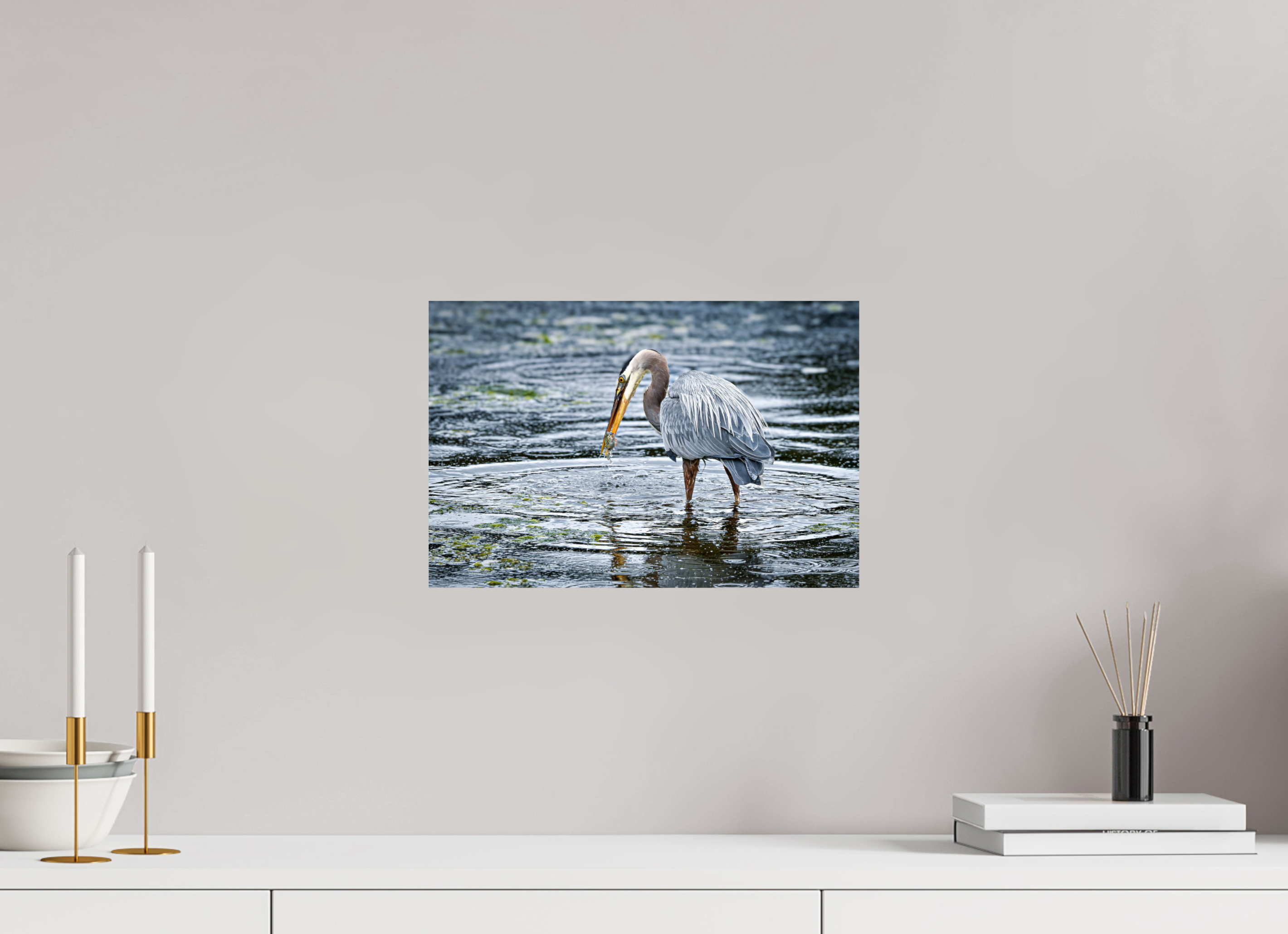 15 x 10″, Photo Print On Fuji Crystal DP II Surprised Dinner