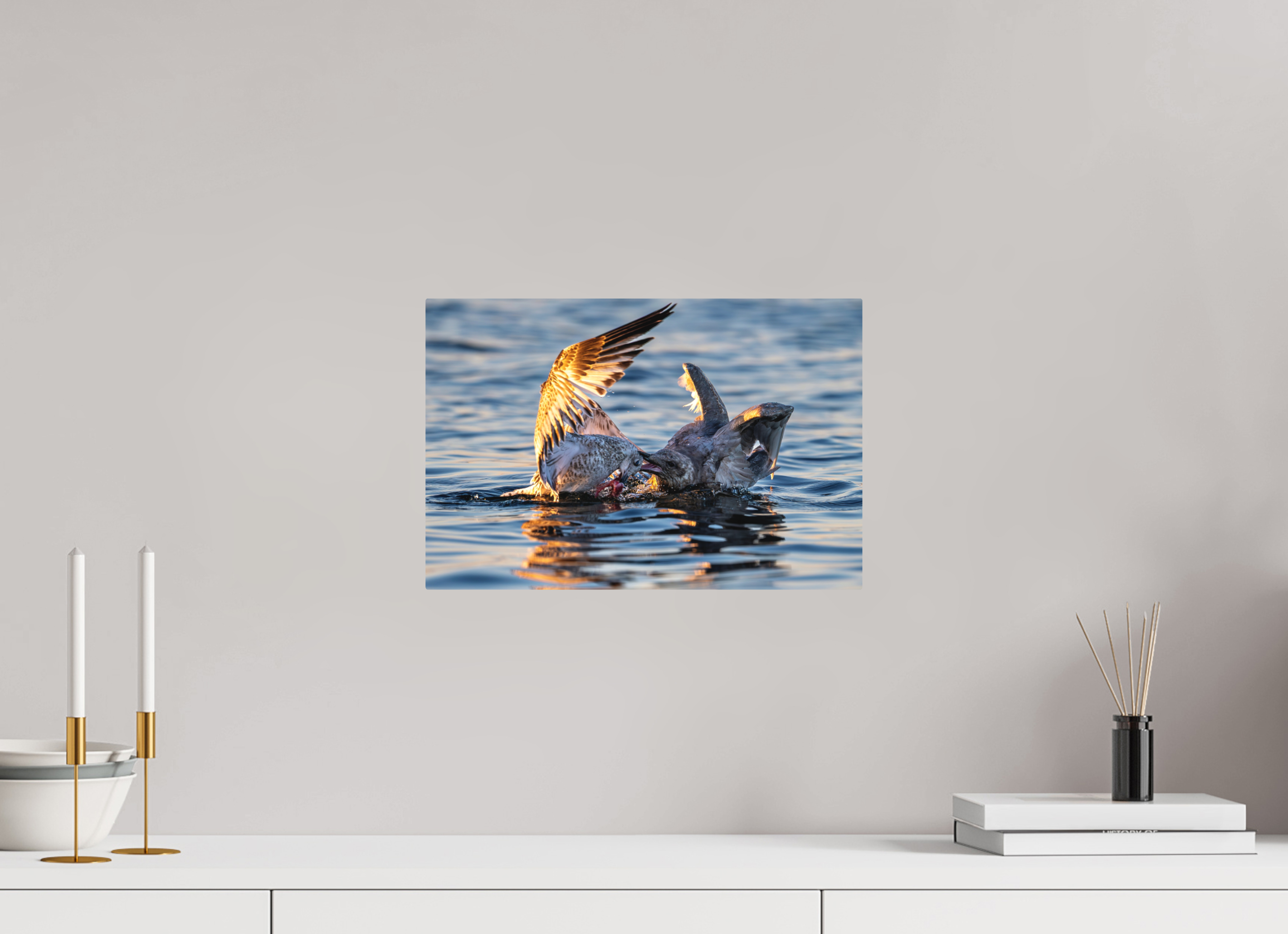 15 x 10″, Direct Print on Aluminum with mounting hardware included. Seabird Battle