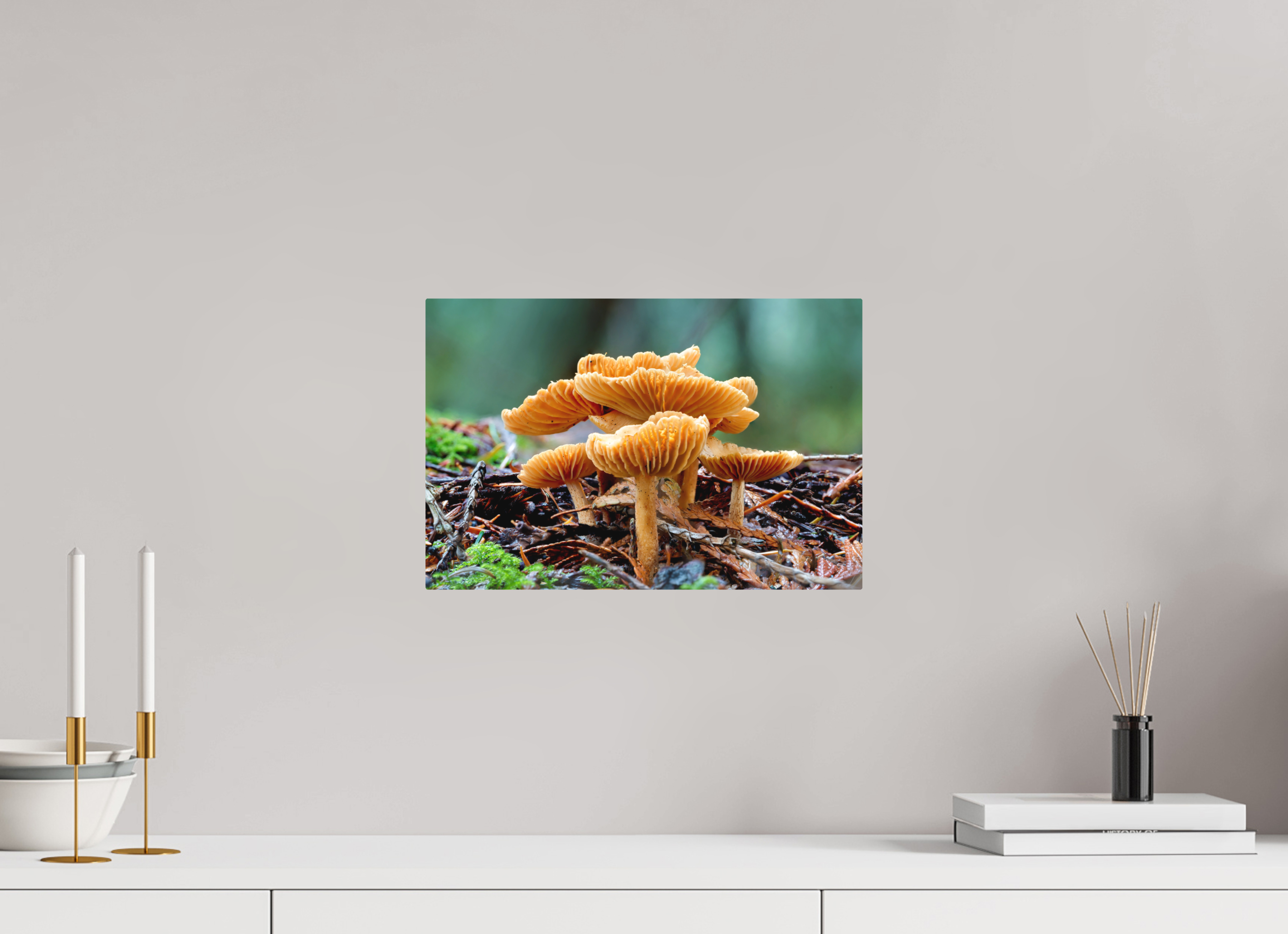 15 x 10″, Direct Print on Aluminum with mounting hardware included. Family of Fungi