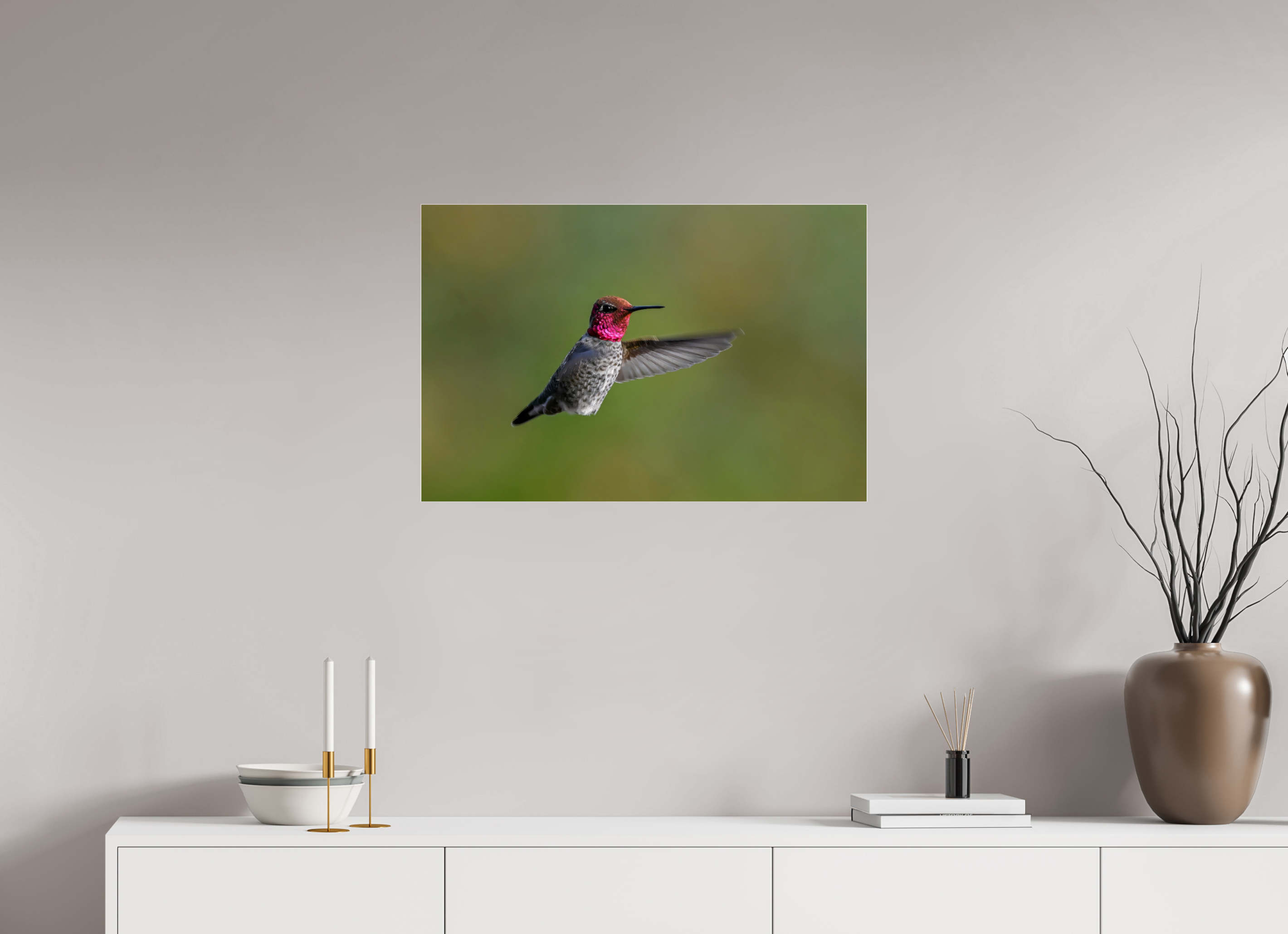 30 x 20″, Photo Mounted Under Acrylic Glass Glowing Anna's