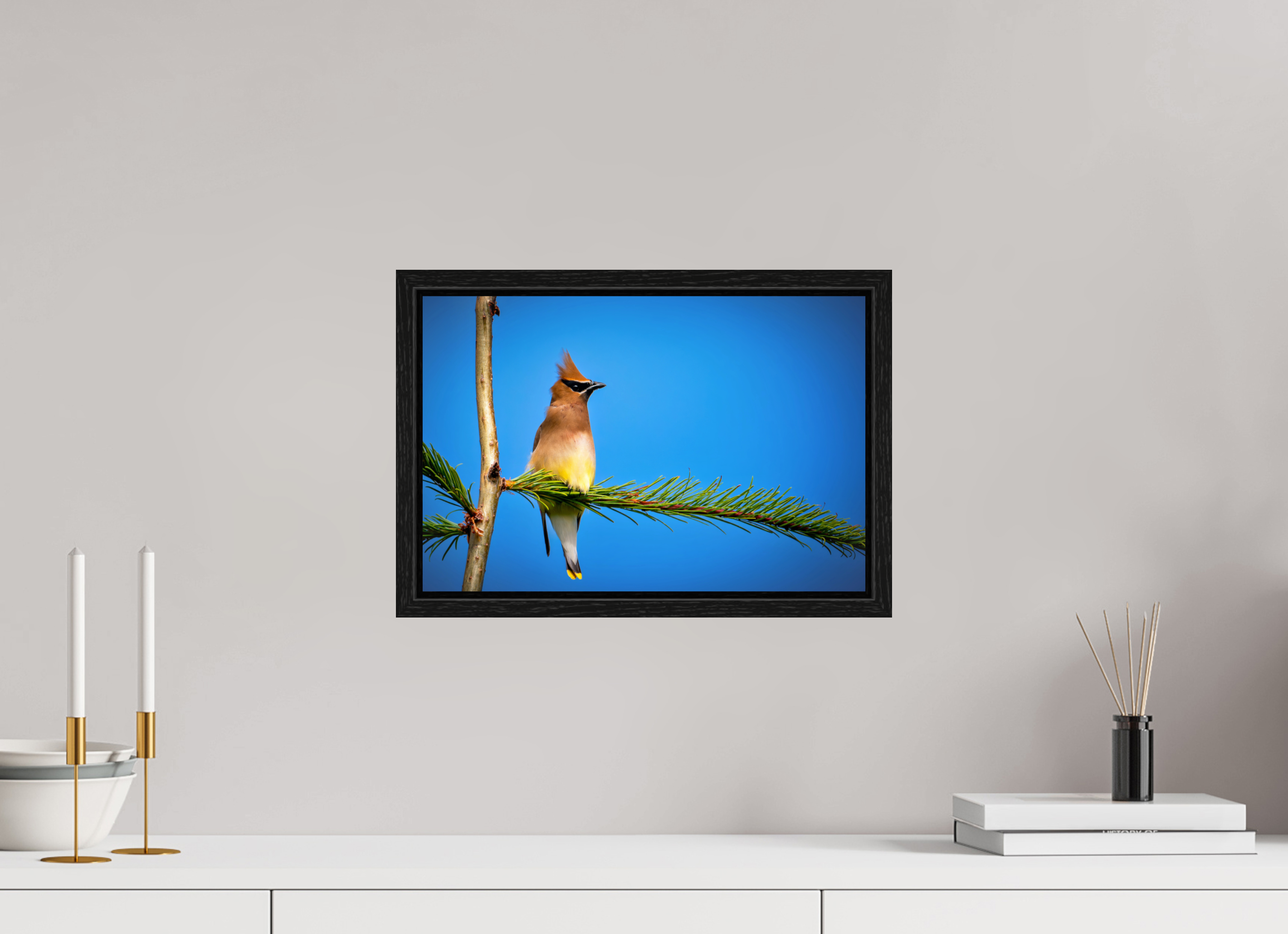 15 x 10″, Floater Frame Waxwing