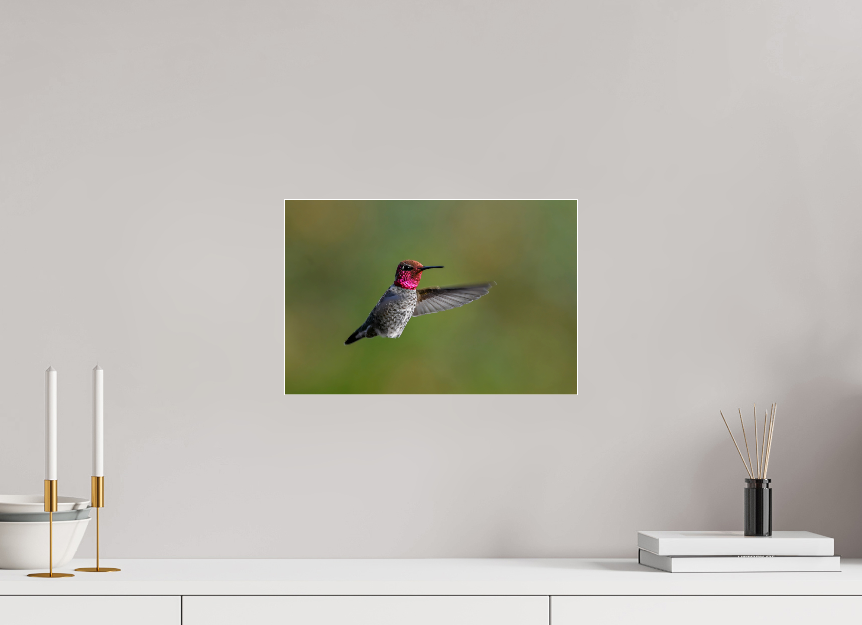15 x 10″, Photo Mounted Under Acrylic Glass Glowing Anna's
