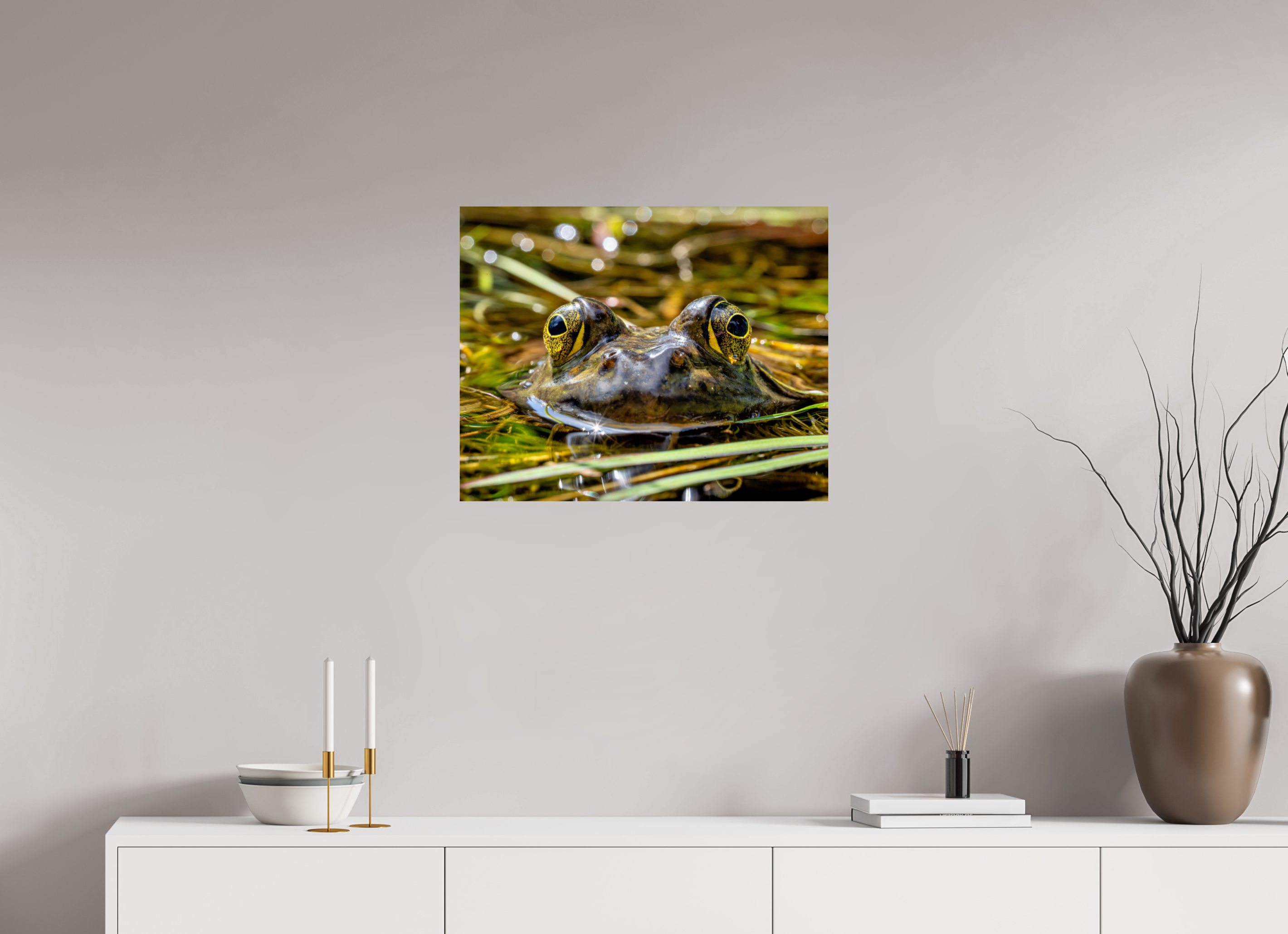 25 x 20″, Photo Print On Fuji Crystal DP II Eyes of Frog