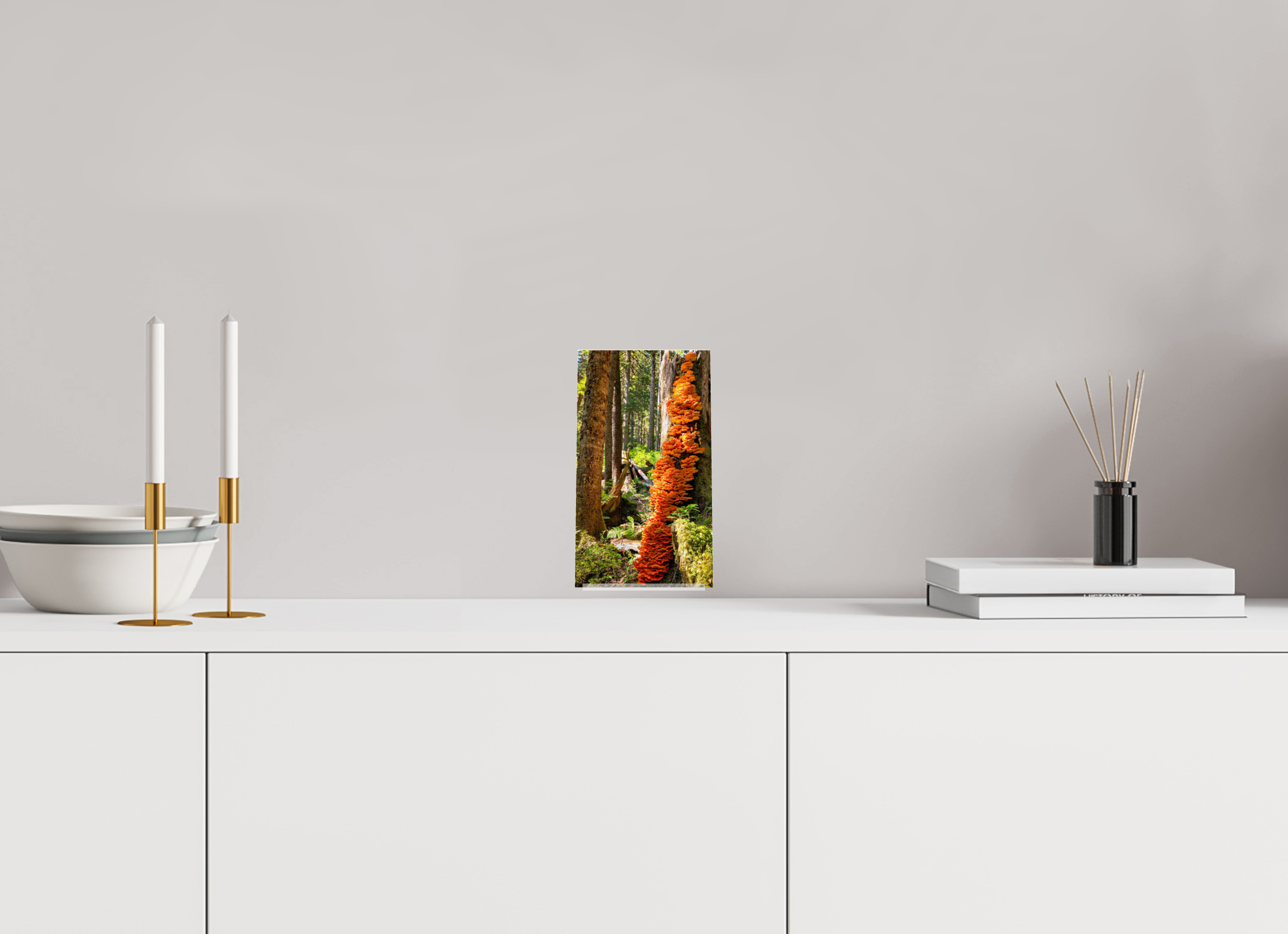 4.5 x 8″, Acrylic Glass on Stand Flaming Stump