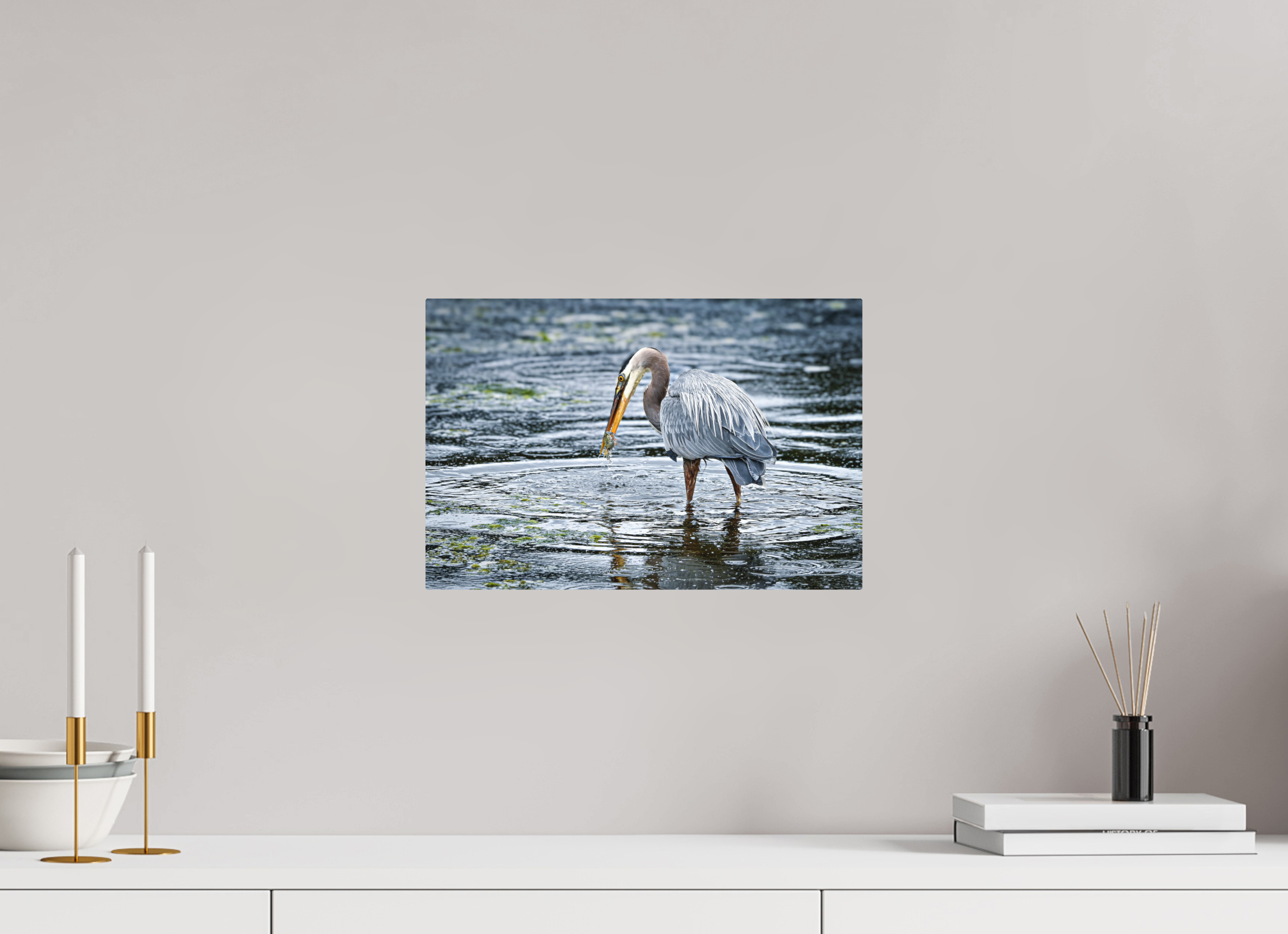 15 x 10″, Direct Print on Aluminum with mounting hardware included. Surprised Dinner