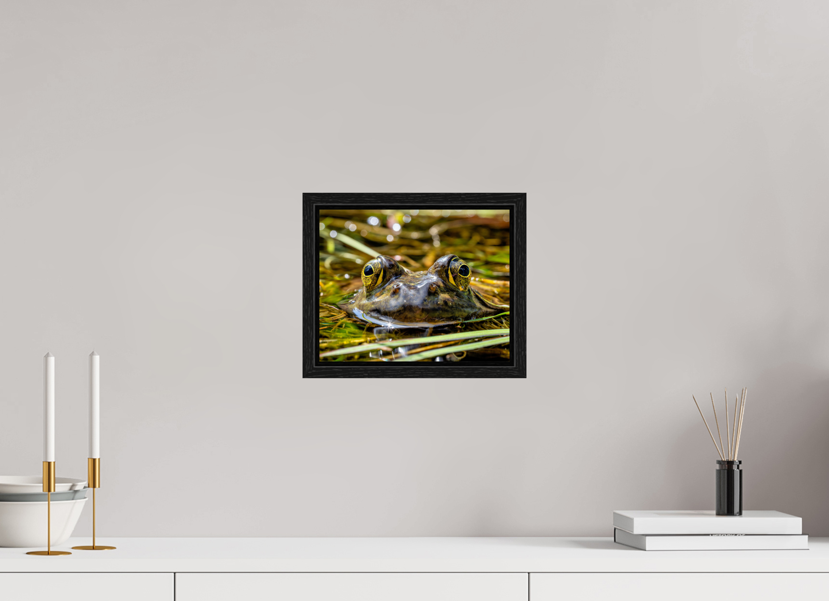 10 x 8″, Floater Frame Eyes of Frog