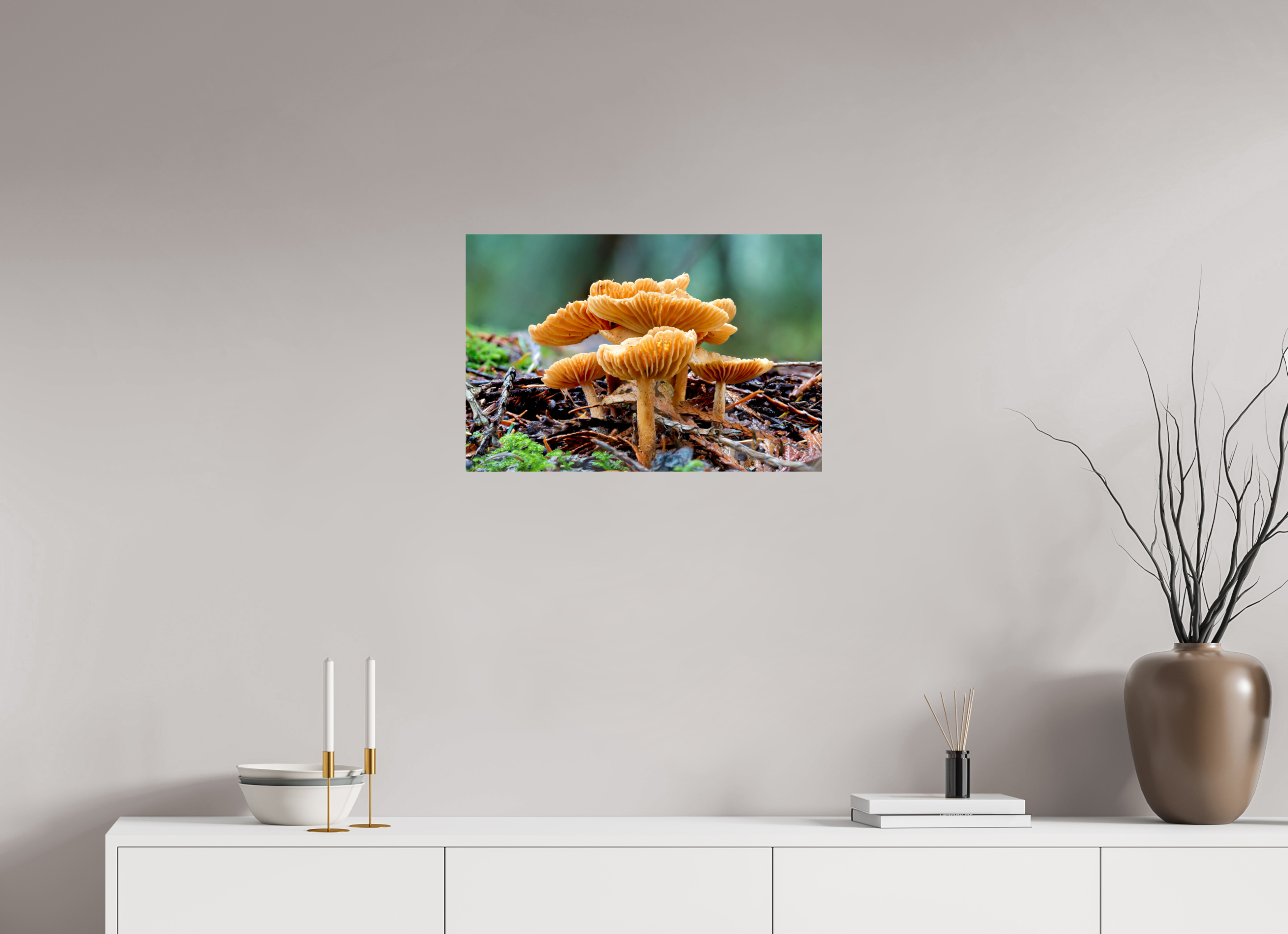 24 x 16″, Photo Print on Aluminum Backing Family of Fungi