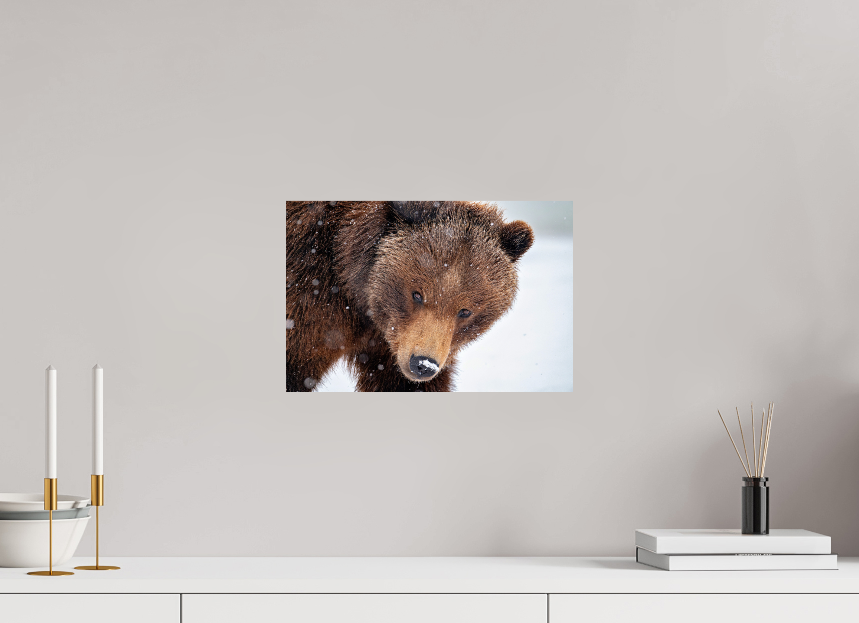 15 x 10″, Photo Print On Fuji Crystal DP II Bear Stare