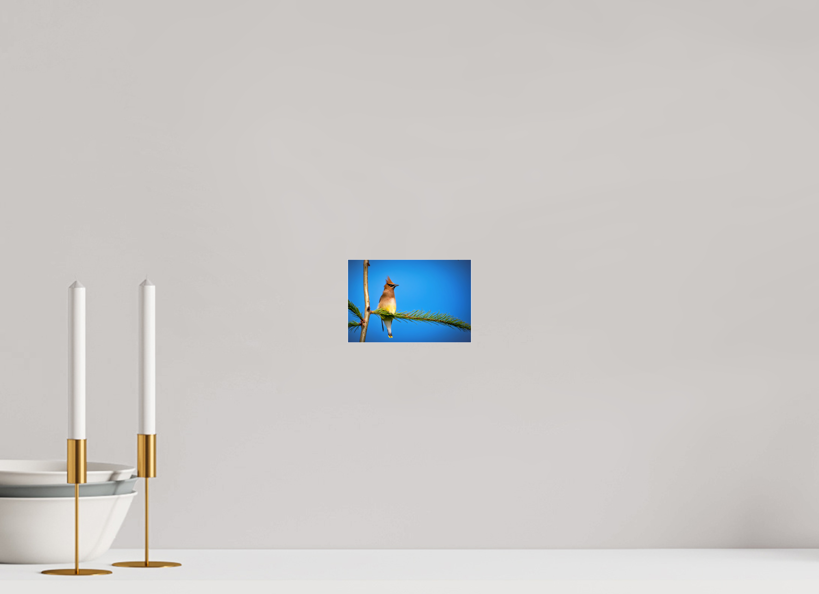 6 x 4″, Photo Mounted Under Acrylic Glass Waxwing