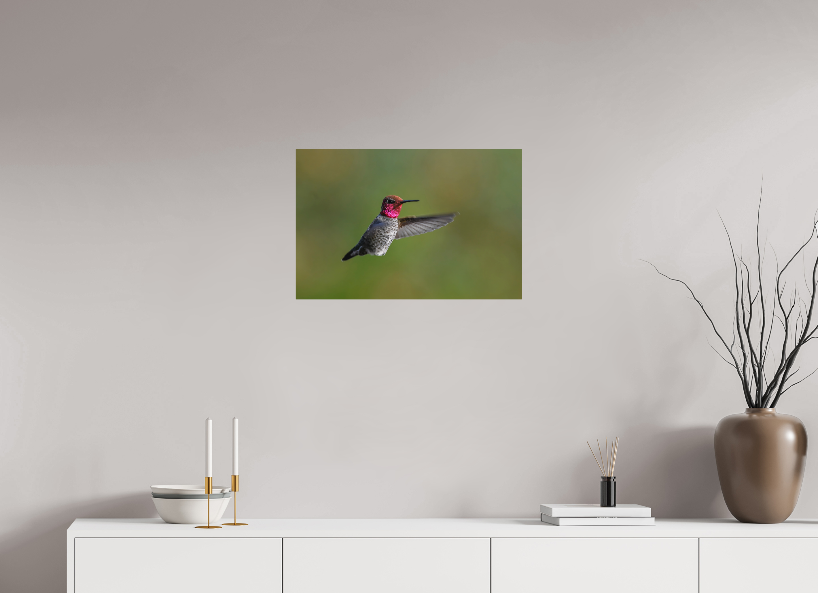24 x 16″, Direct Print on Aluminum with mounting hardware included. Glowing Anna's