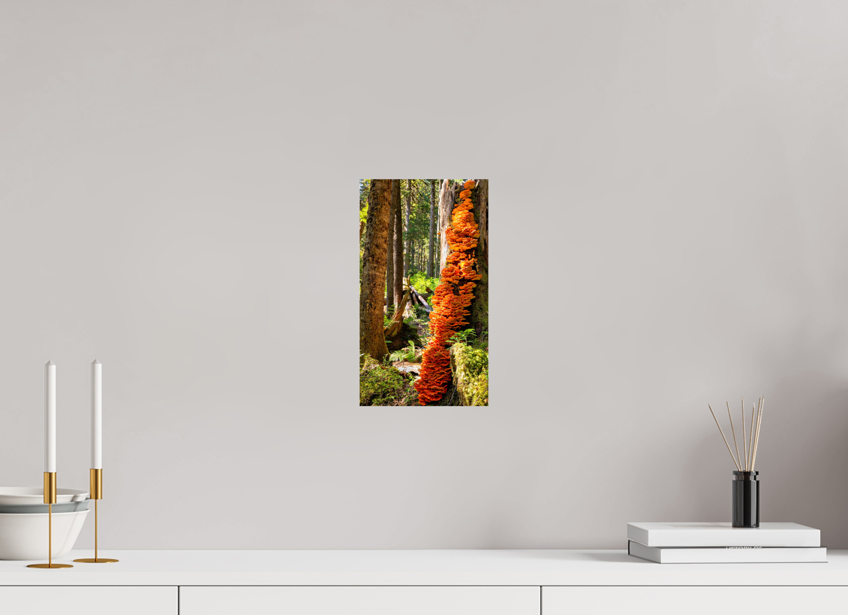 6.8 x 12″, Photo Print On Fuji Crystal DP II Flaming Stump