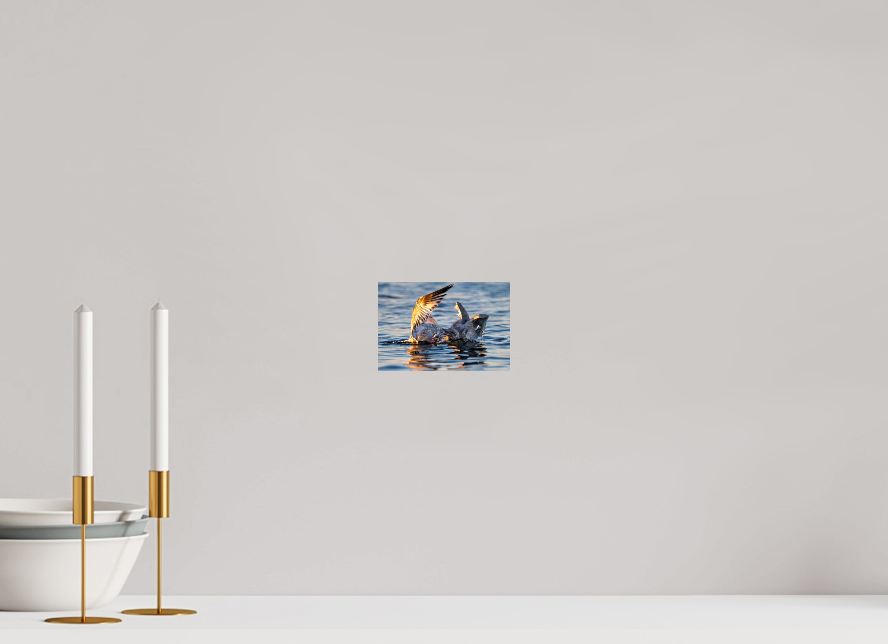 6 x 4″, Photo Print On Fuji Crystal DP II Seabird Battle