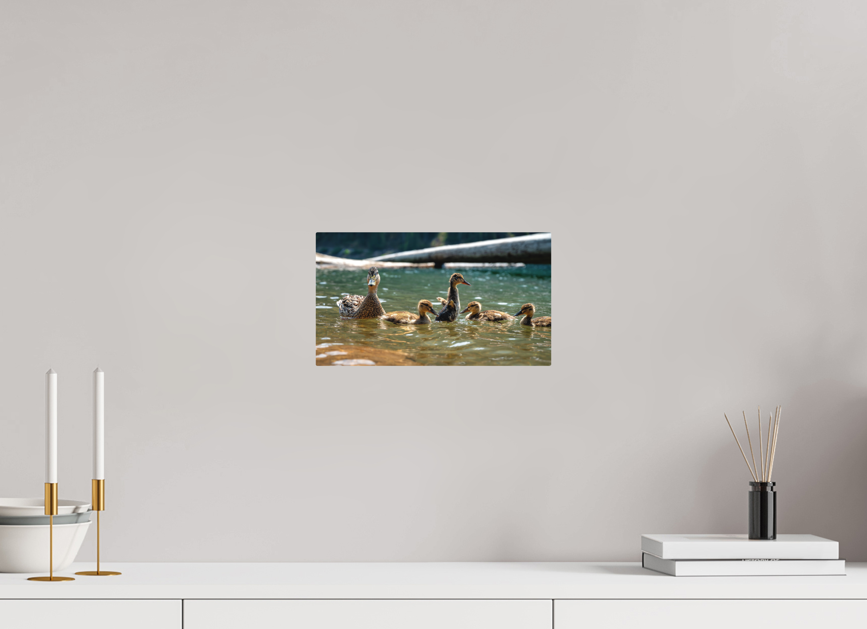12 x 6.8″, Direct Print on Aluminum with mounting hardware included. Ducklings These Days.