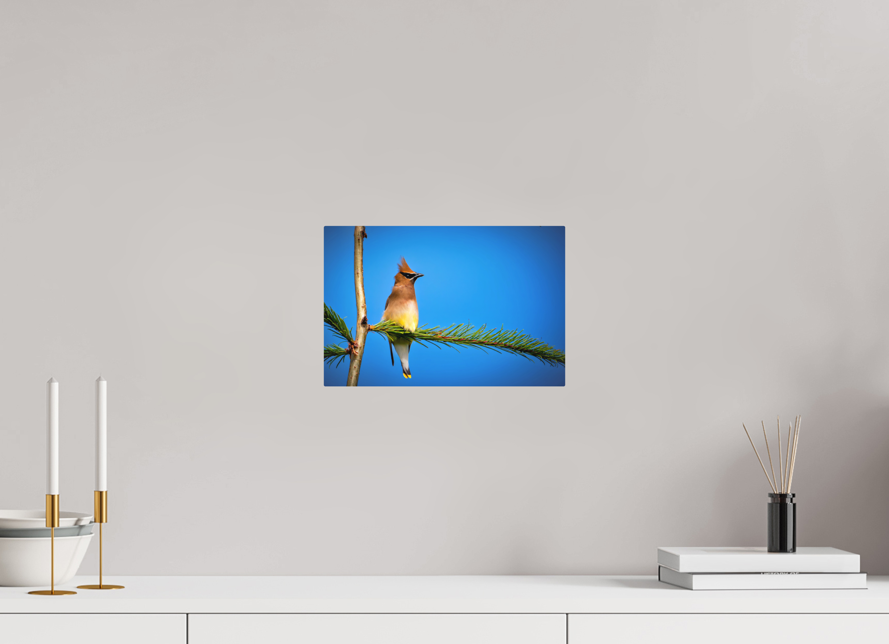 12 x 8″, Direct Print on Aluminum with mounting hardware included. Waxwing