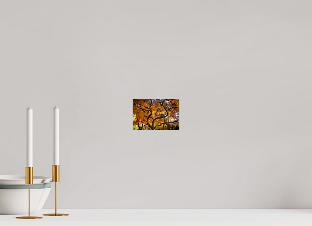 6 x 4″, Photo Print On Fuji Crystal DP II Autumn Maple