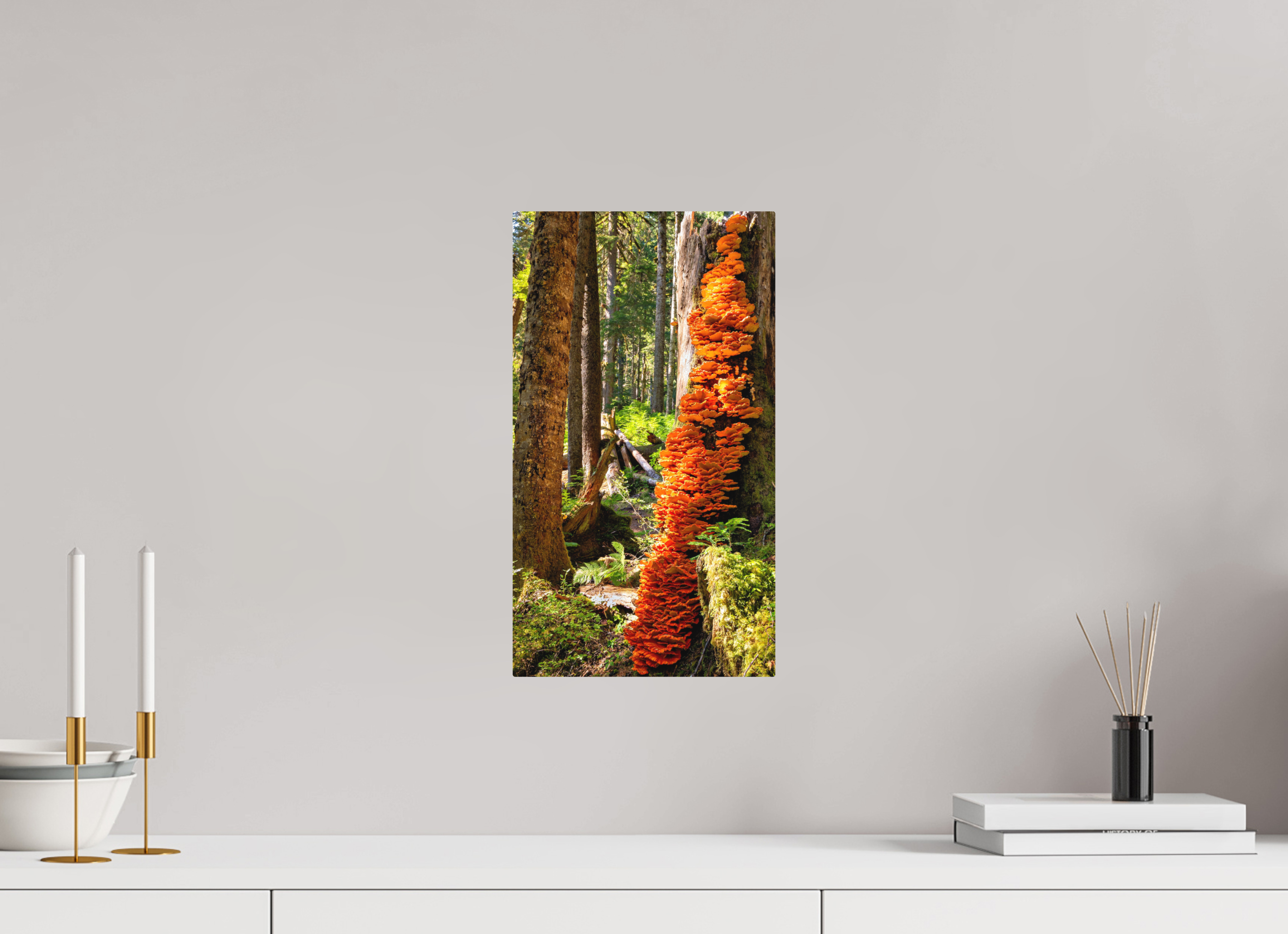9 x 16″, Direct Print on Aluminum with mounting hardware included. Flaming Stump