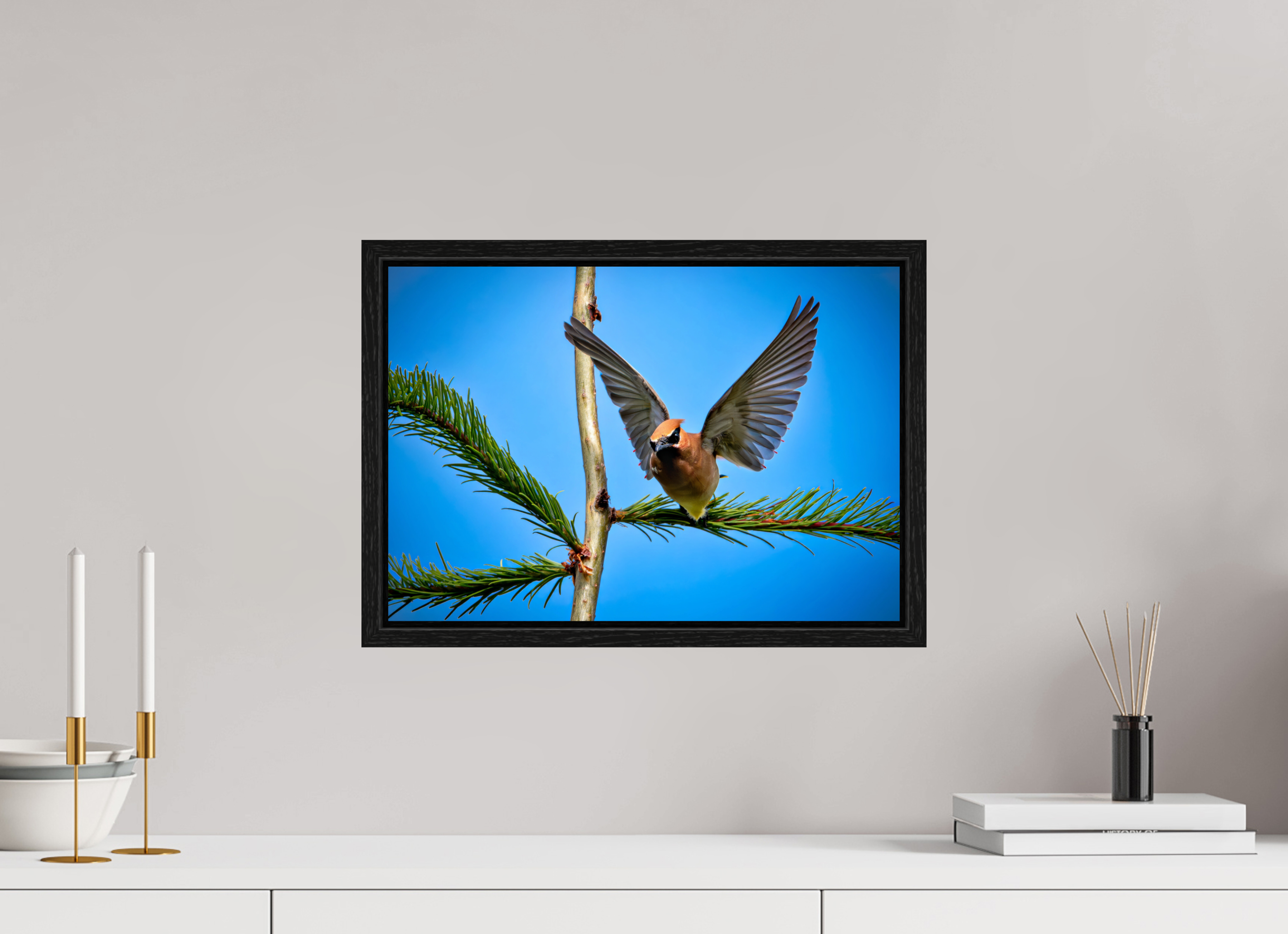 17.3 x 12″, Floater Frame Wing of the Waxwing