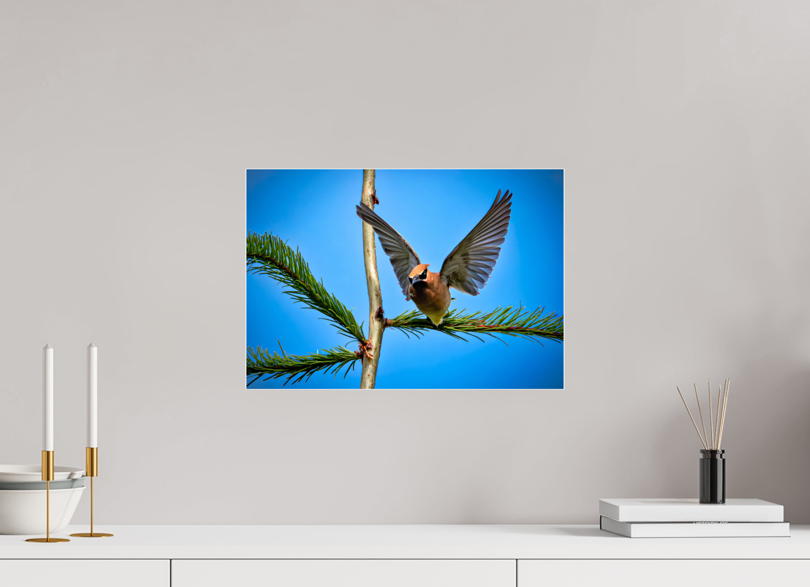 17.3 x 12″, Photo Mounted Under Acrylic Glass Wing of the Waxwing