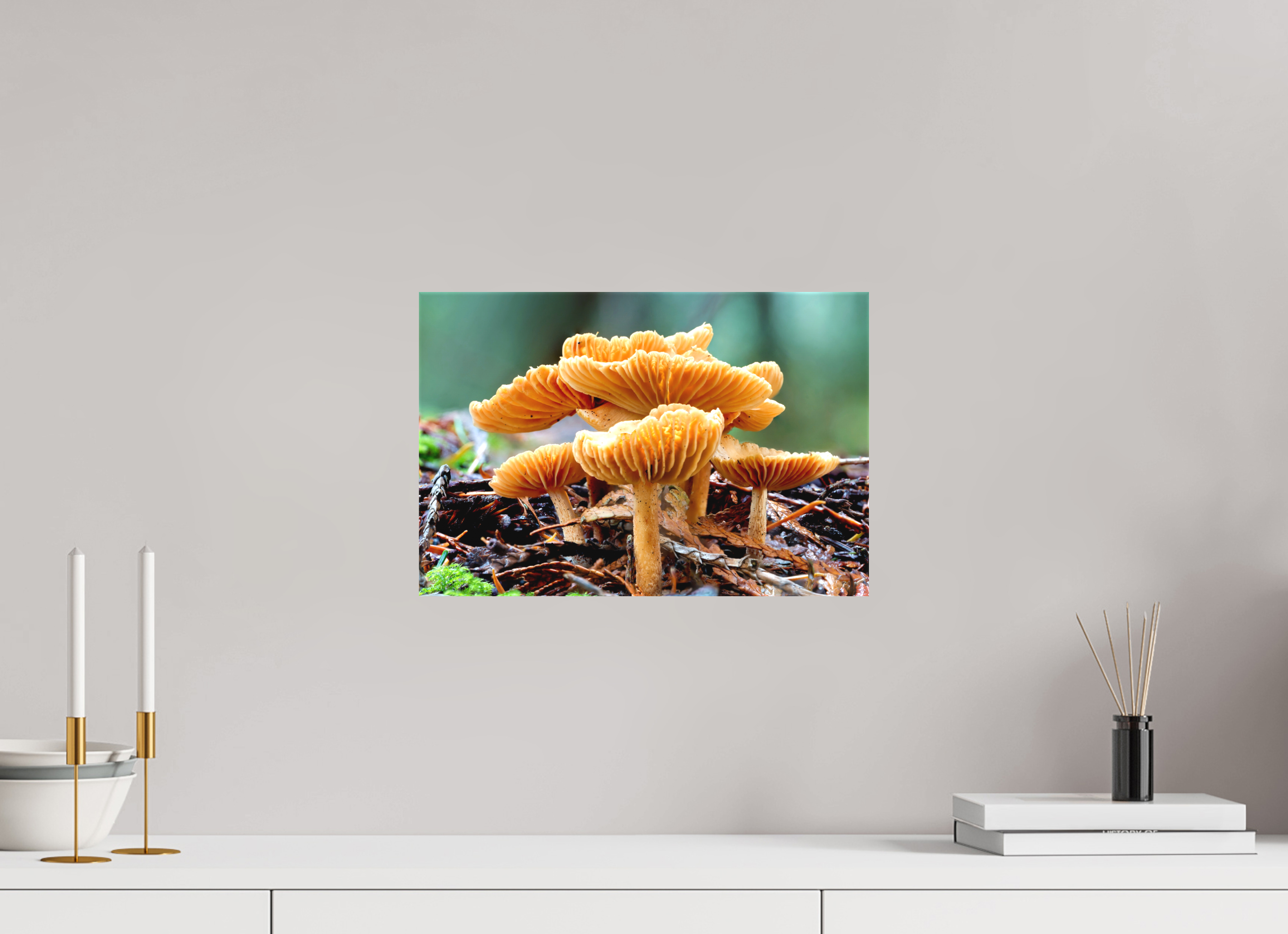 15 x 10″, Matte Canvas with Wrapped Edges Family of Fungi
