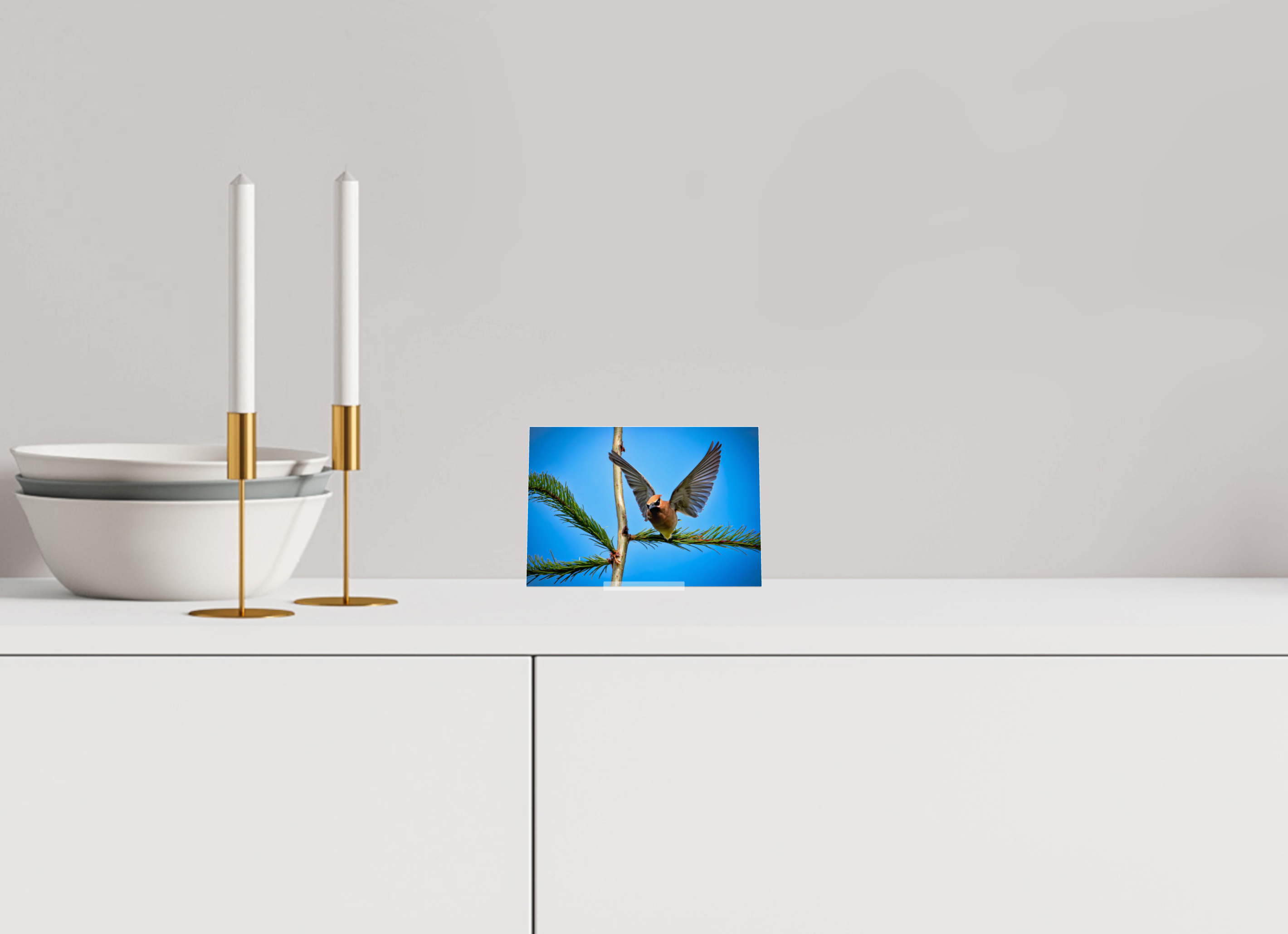 5.8 x 4″, Acrylic Glass on Stand Wing of the Waxwing