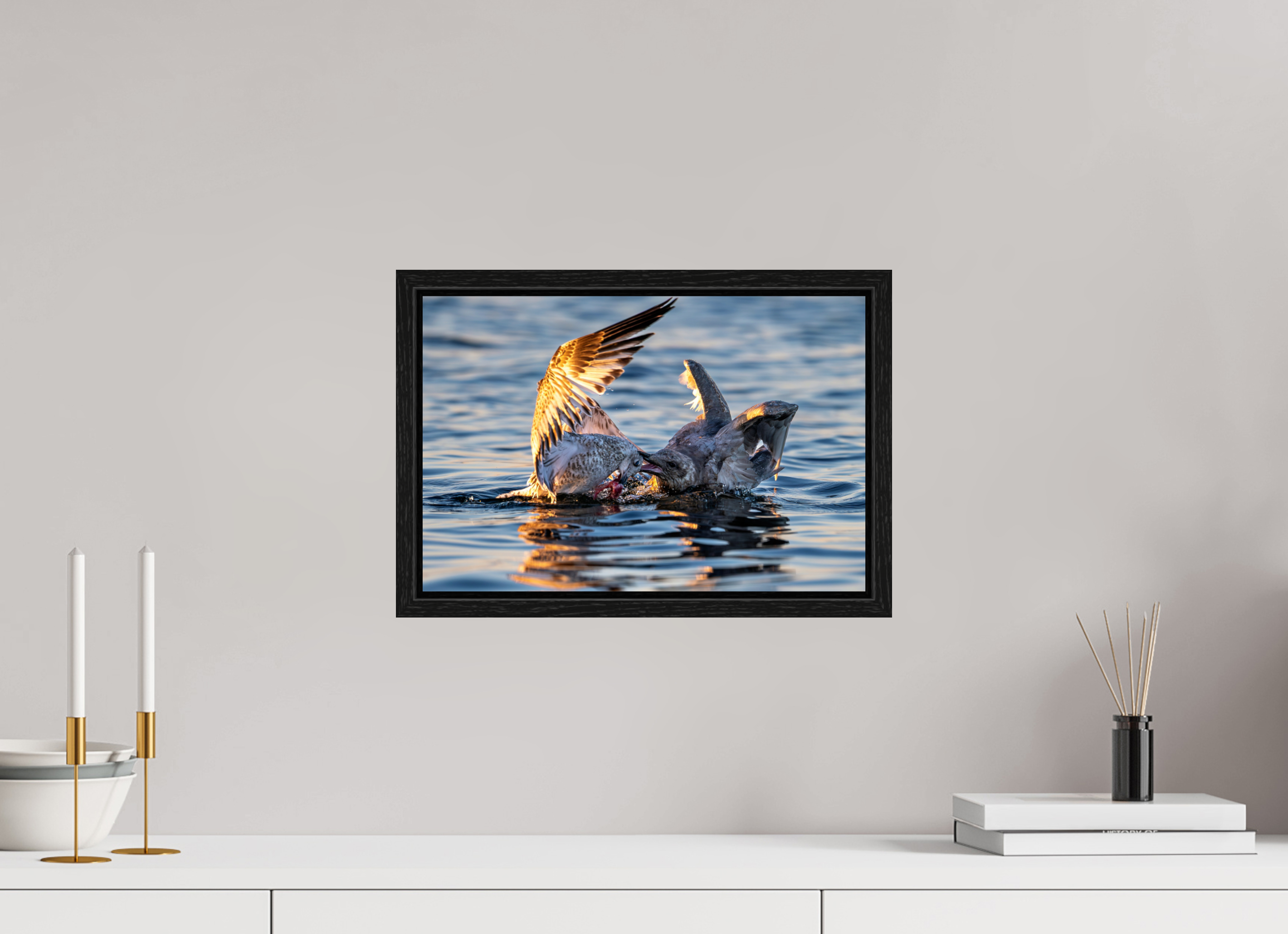 15 x 10″, Floater Frame Seabird Battle