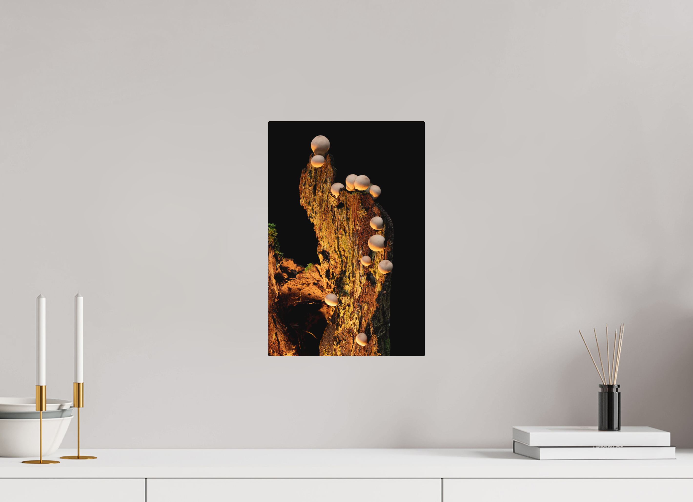 10 x 15″, Direct Print on Aluminum with mounting hardware included. Stepping Mushrooms