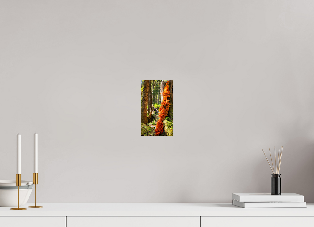 4.5 x 8″, Photo Print On Fuji Crystal DP II Flaming Stump