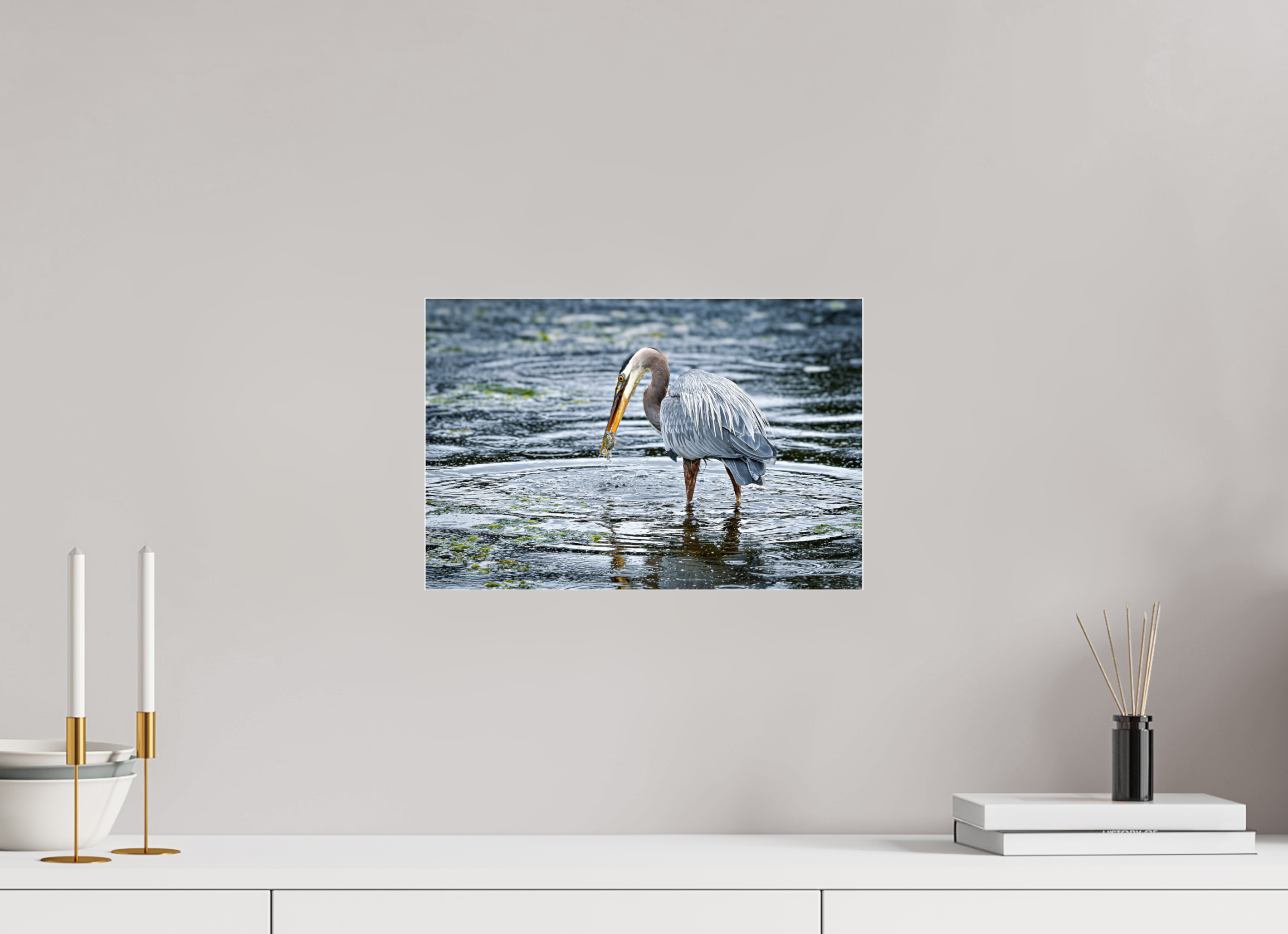15 x 10″, Photo Mounted Under Acrylic Glass Surprised Dinner