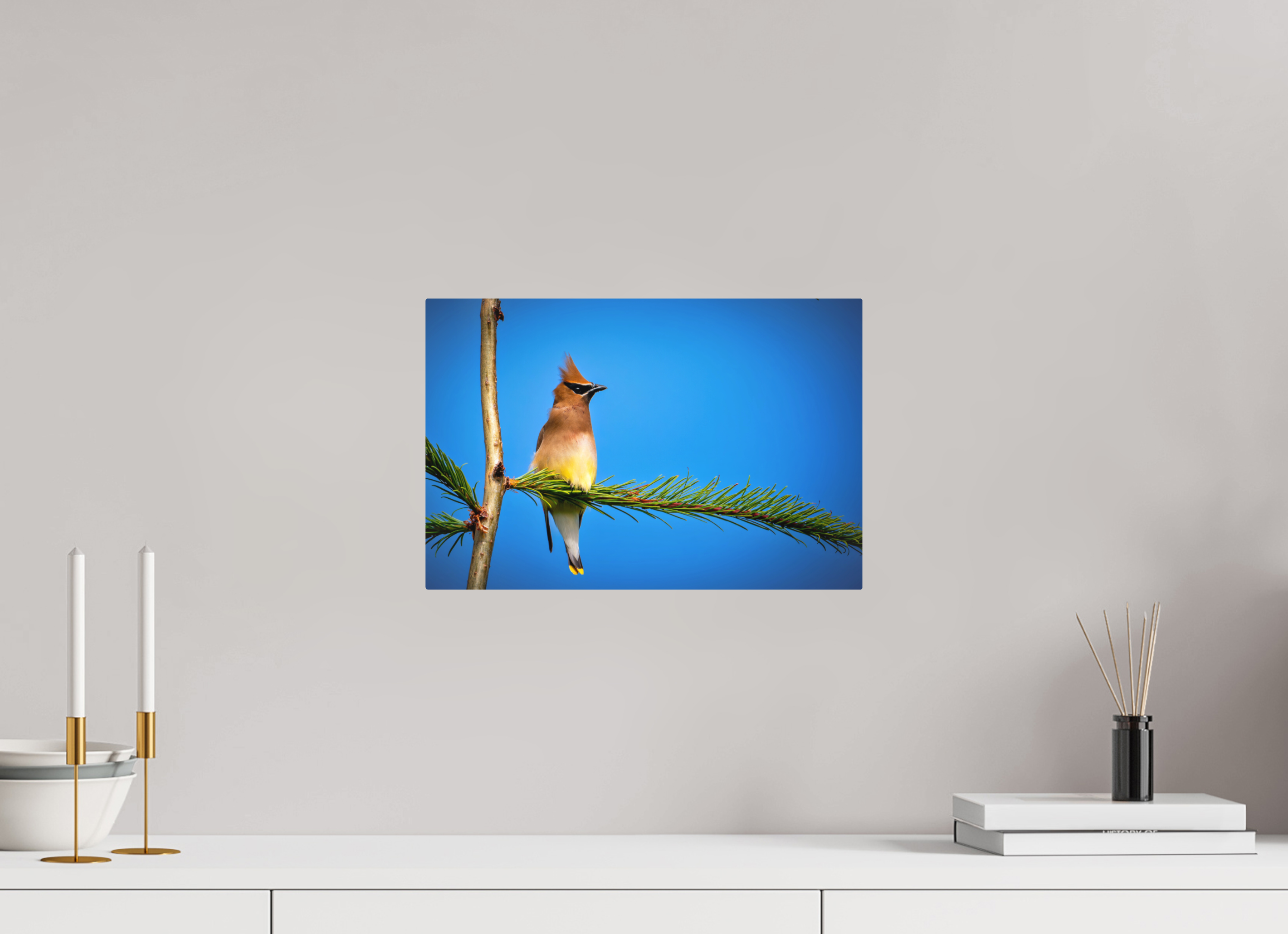 15 x 10″, Direct Print on Aluminum with mounting hardware included. Waxwing