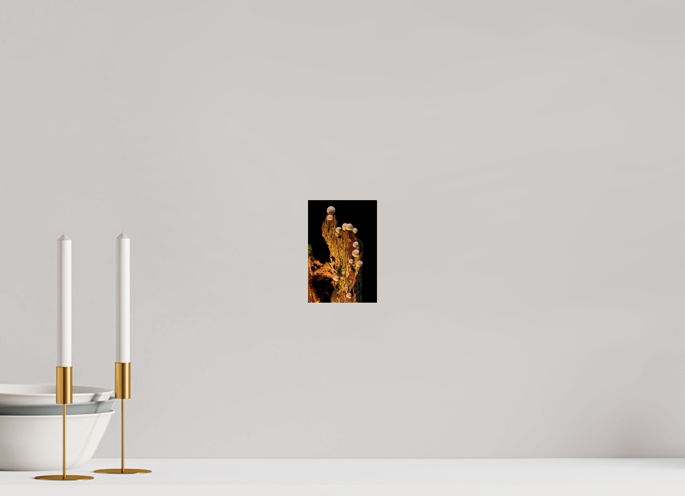 4 x 6″, Photo Mounted Under Acrylic Glass Stepping Mushrooms