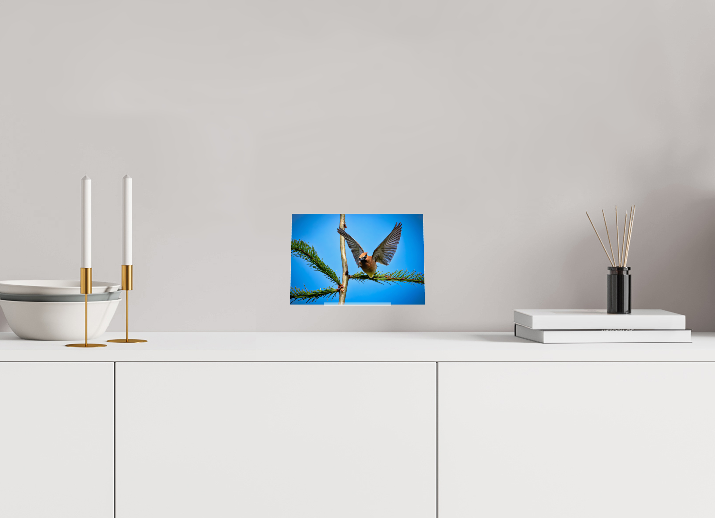 8 x 5.5″, Acrylic Glass on Stand Wing of the Waxwing