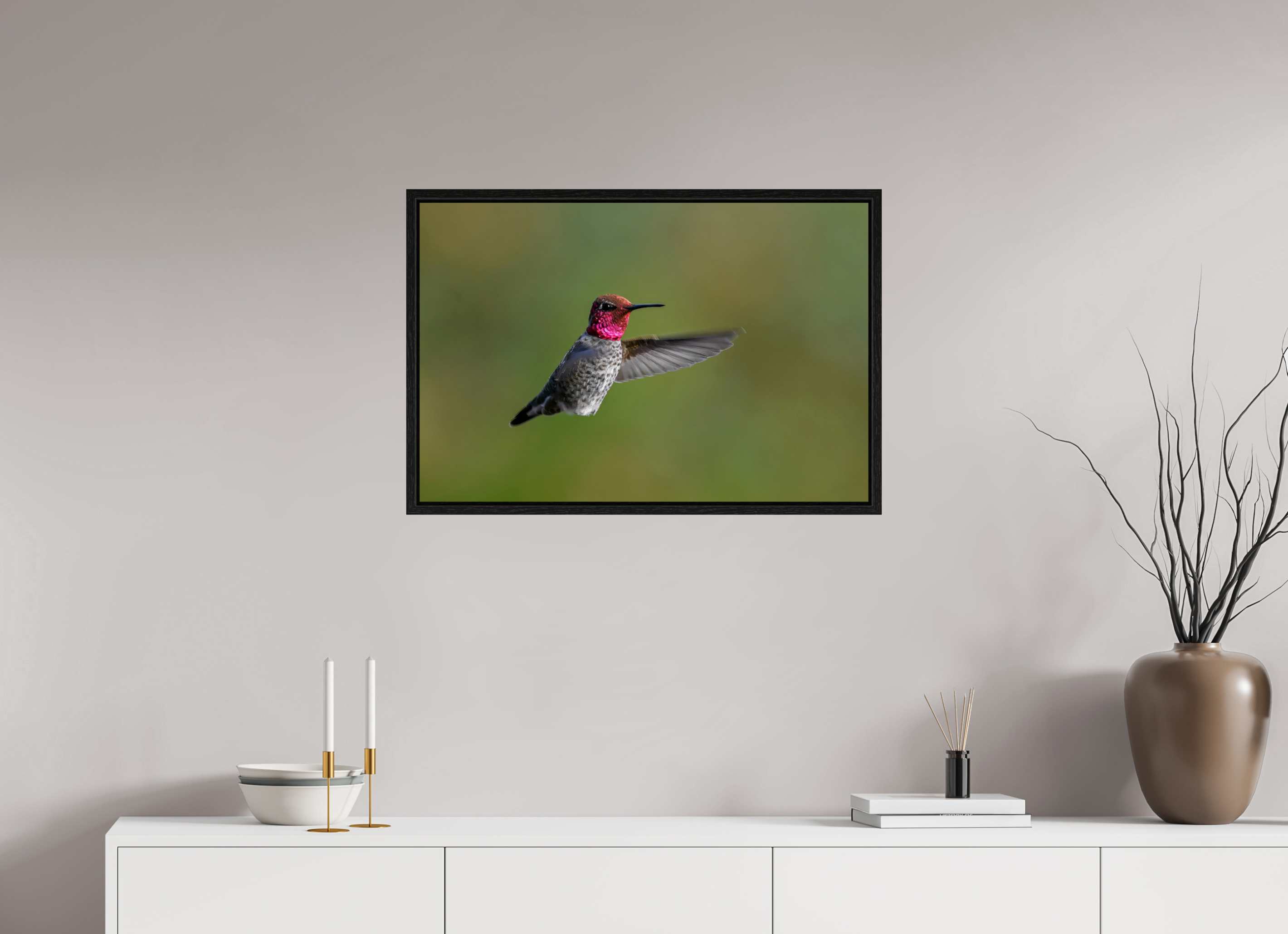 30 x 20″, Floater Frame Glowing Anna's