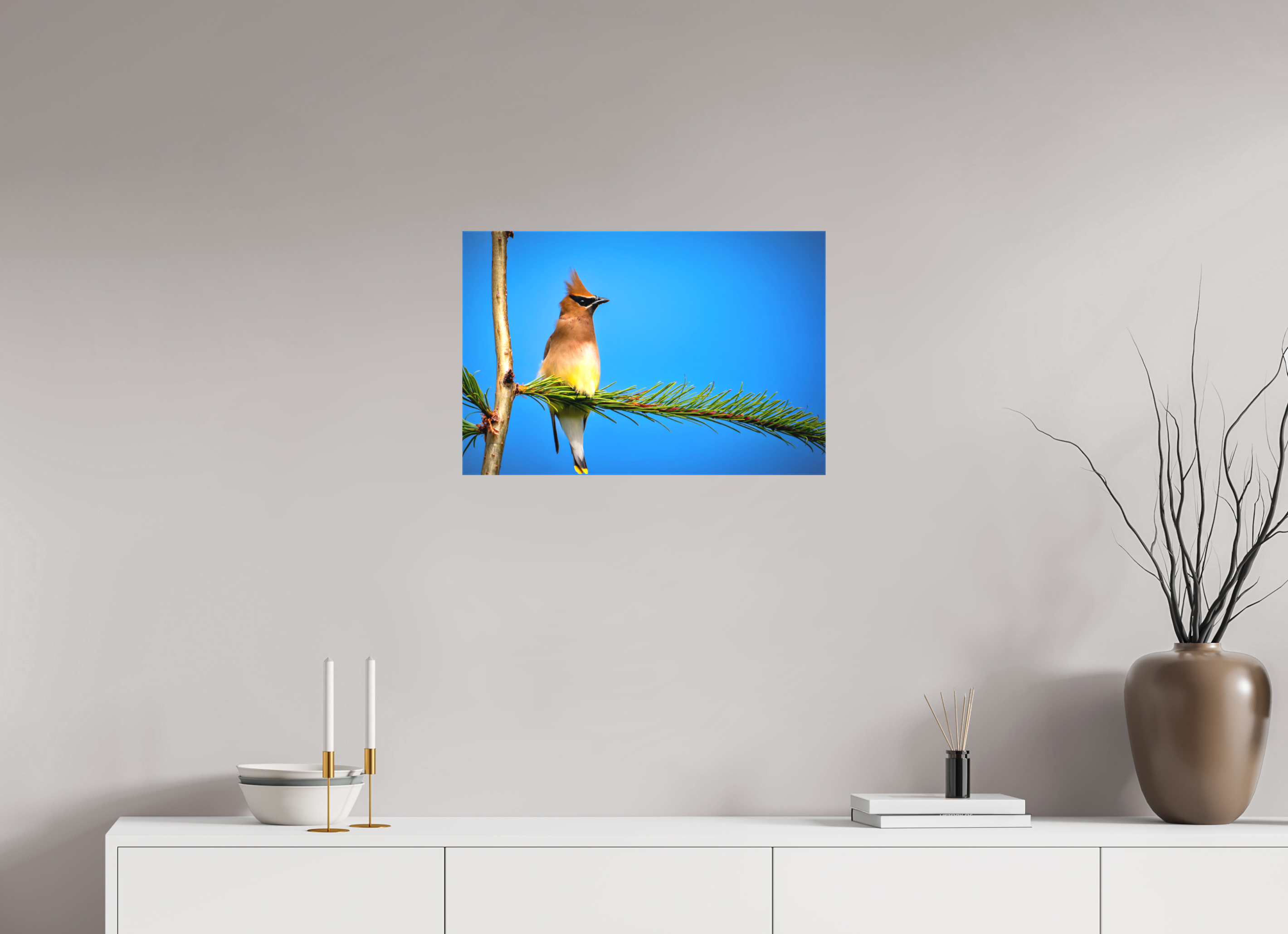 24 x 16″, Matte Canvas with Wrapped Edges Waxwing