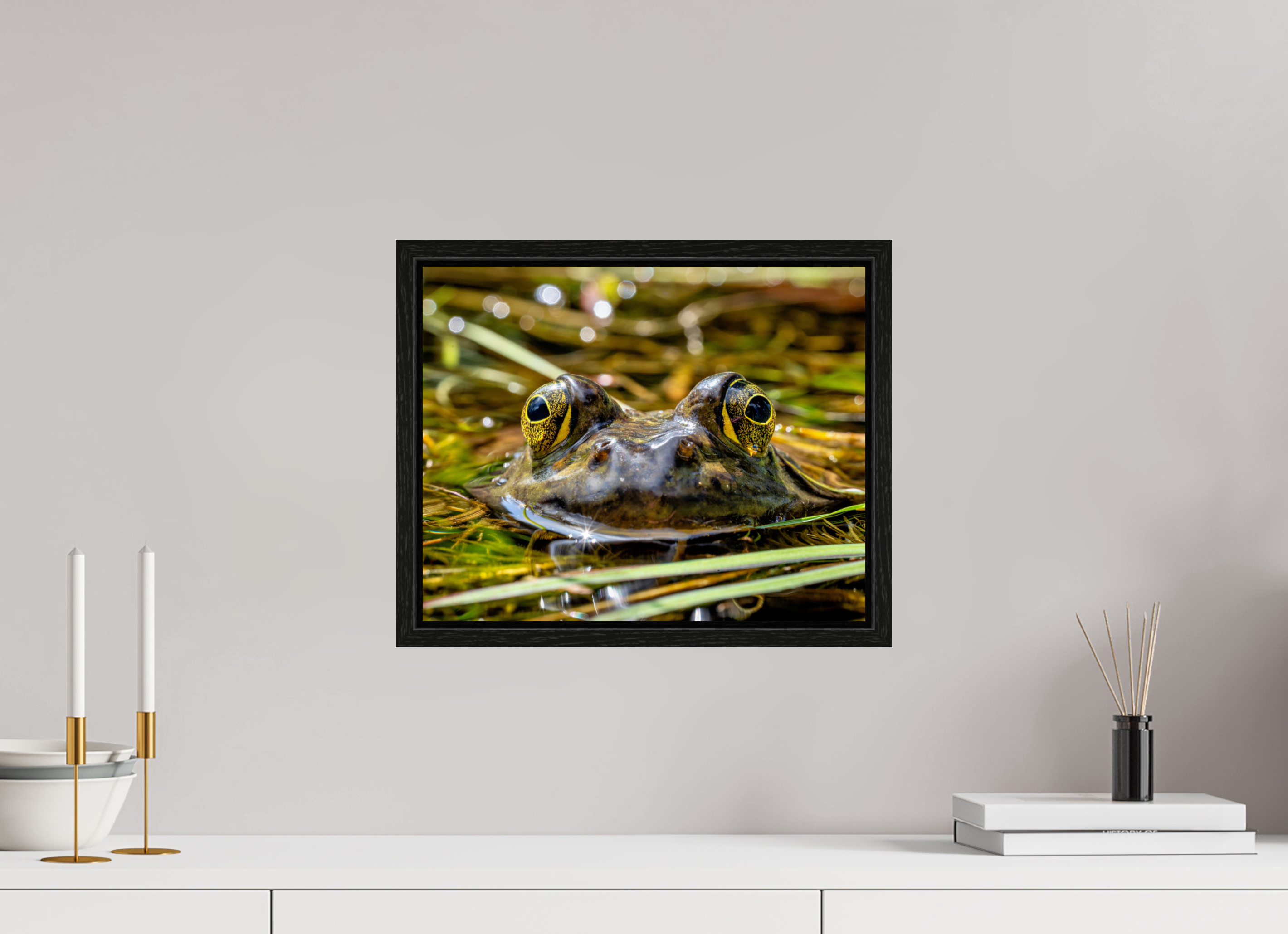 15 x 12″, Floater Frame Eyes of Frog