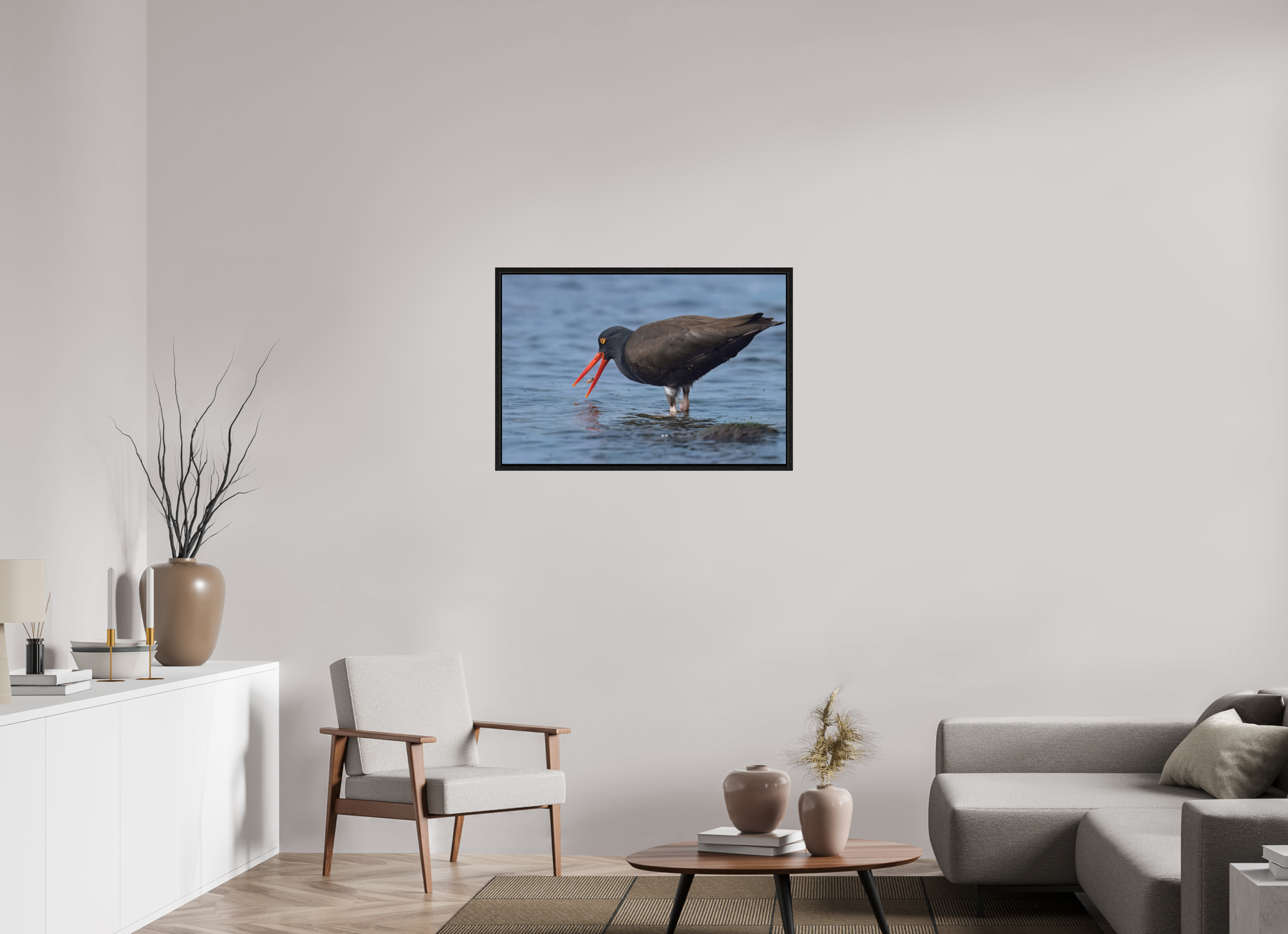 36 x 24″, Floater Frame Oystercatcher