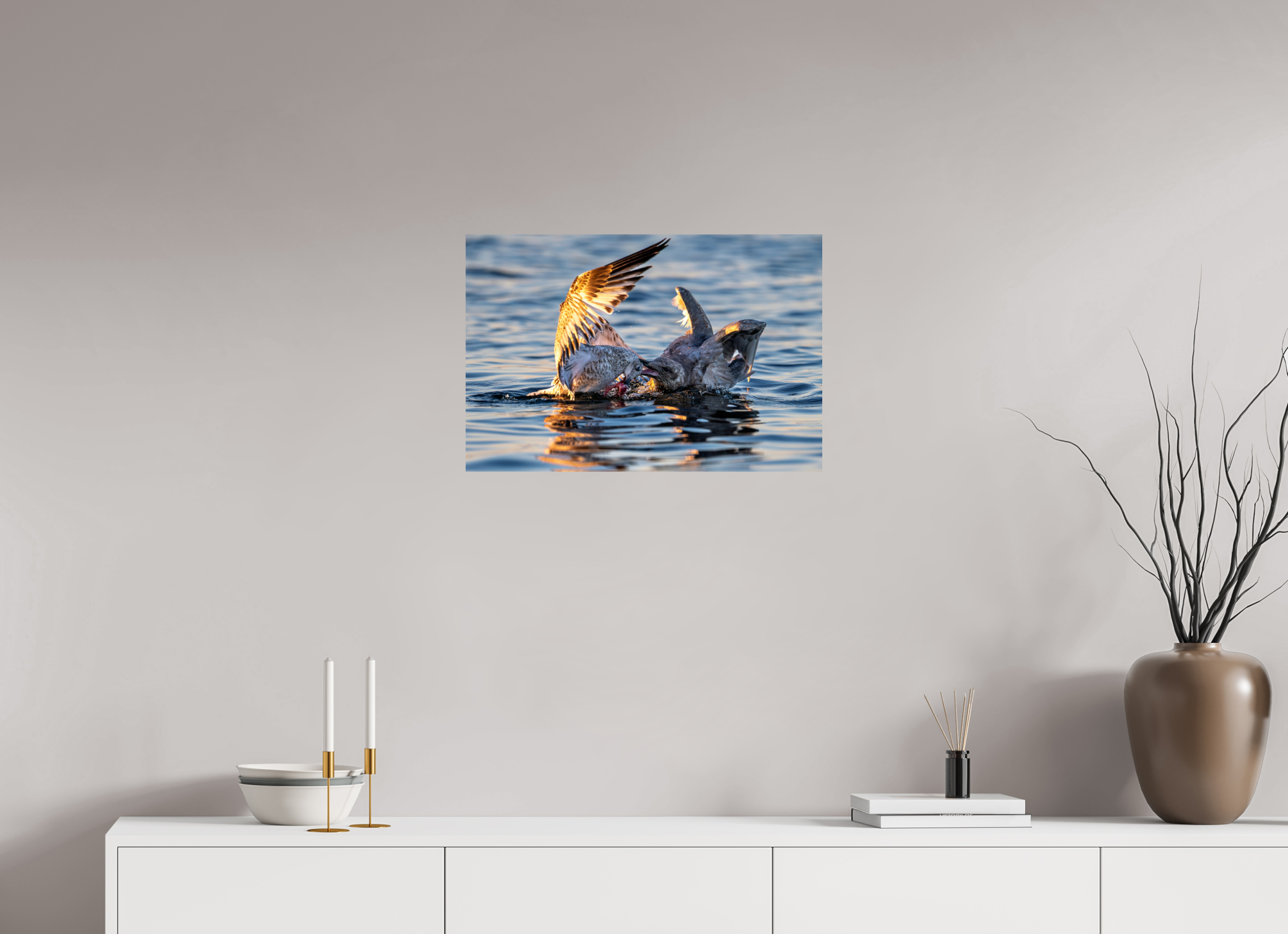 24 x 16″, Photo Print on Aluminum Backing Seabird Battle