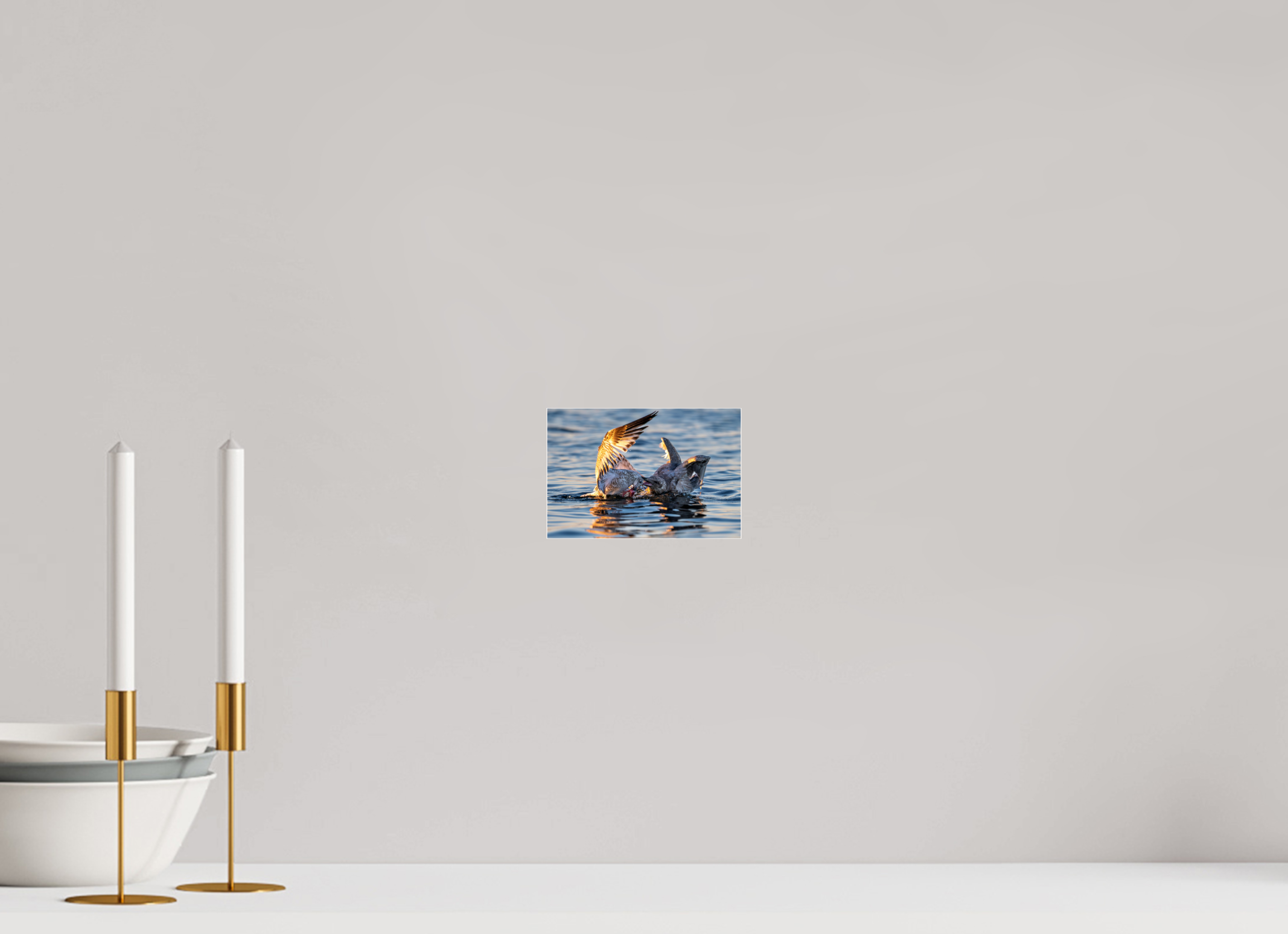 6 x 4″, Photo Mounted Under Acrylic Glass Seabird Battle
