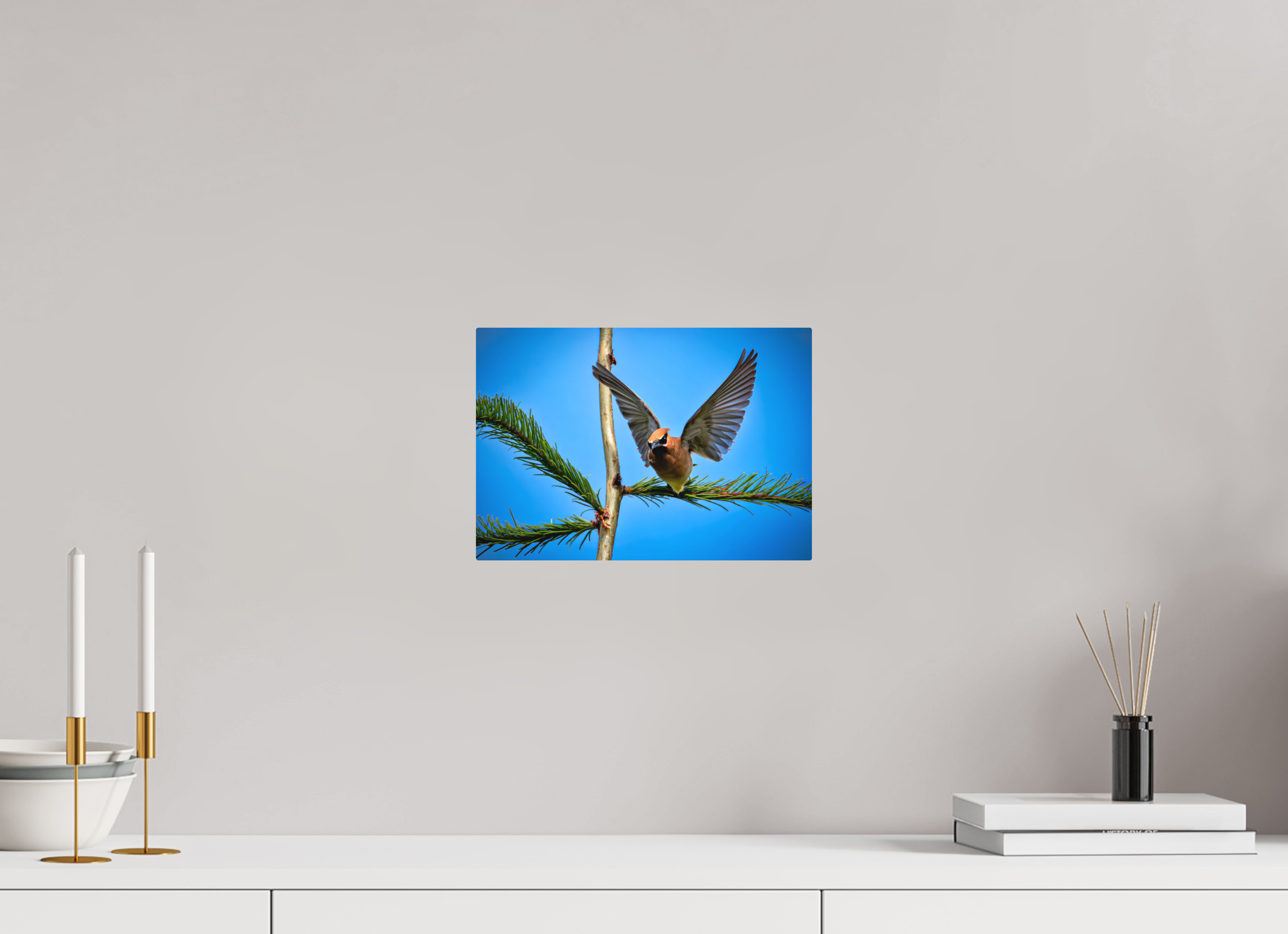 11.5 x 8″, Direct Print on Aluminum with mounting hardware included. Wing of the Waxwing