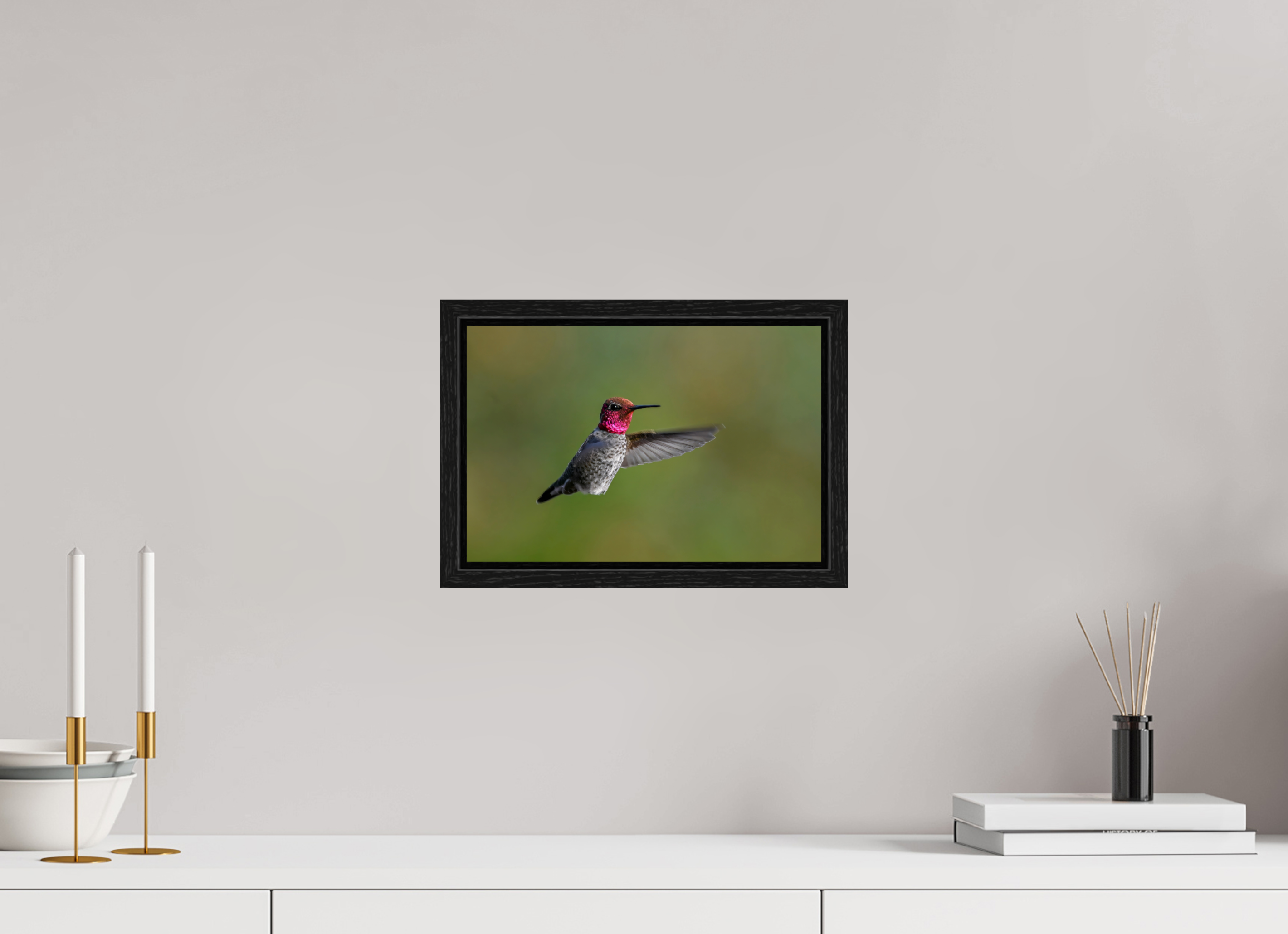 12 x 8″, Floater Frame Glowing Anna's