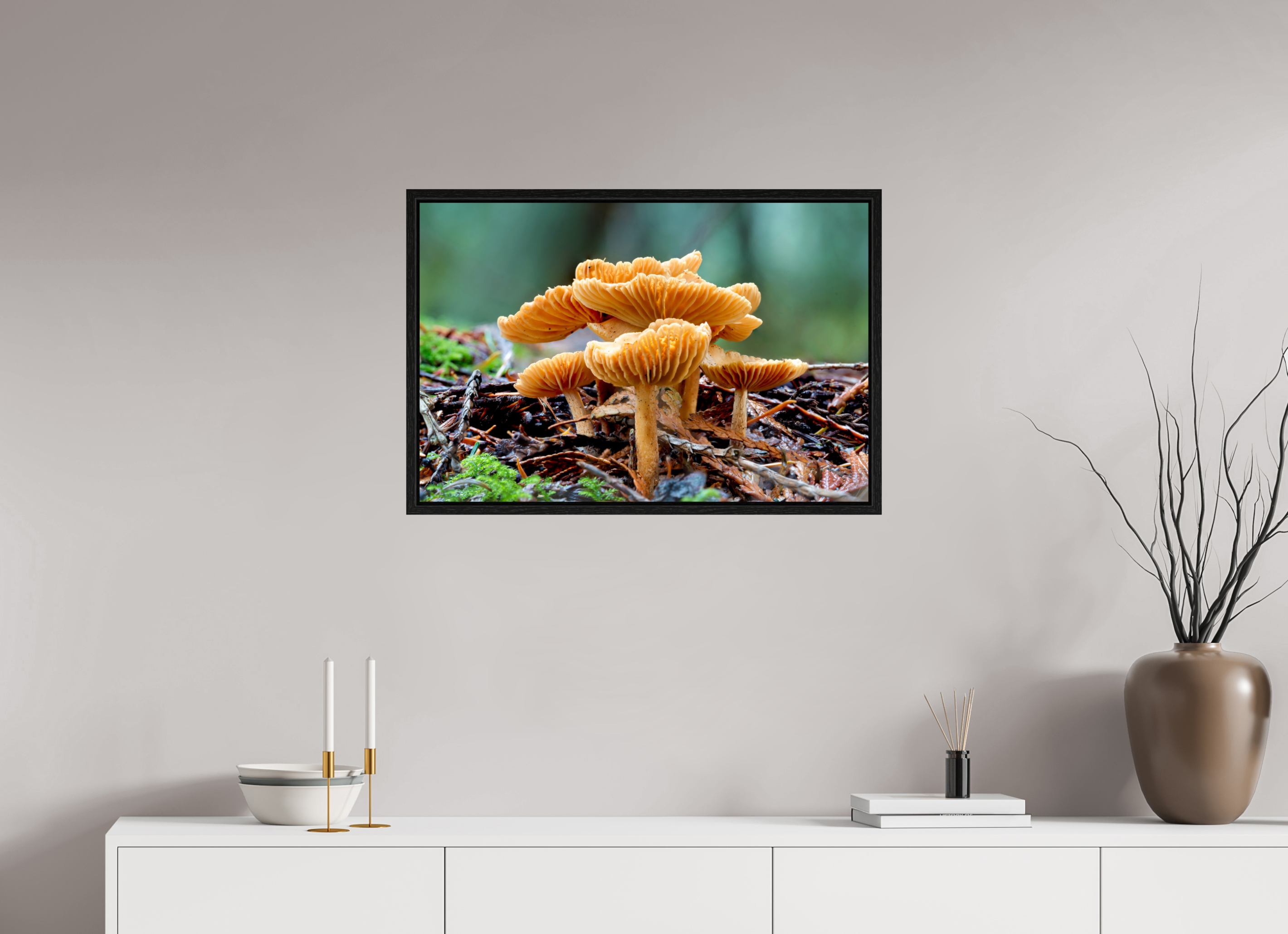 30 x 20″, Floater Frame Family of Fungi
