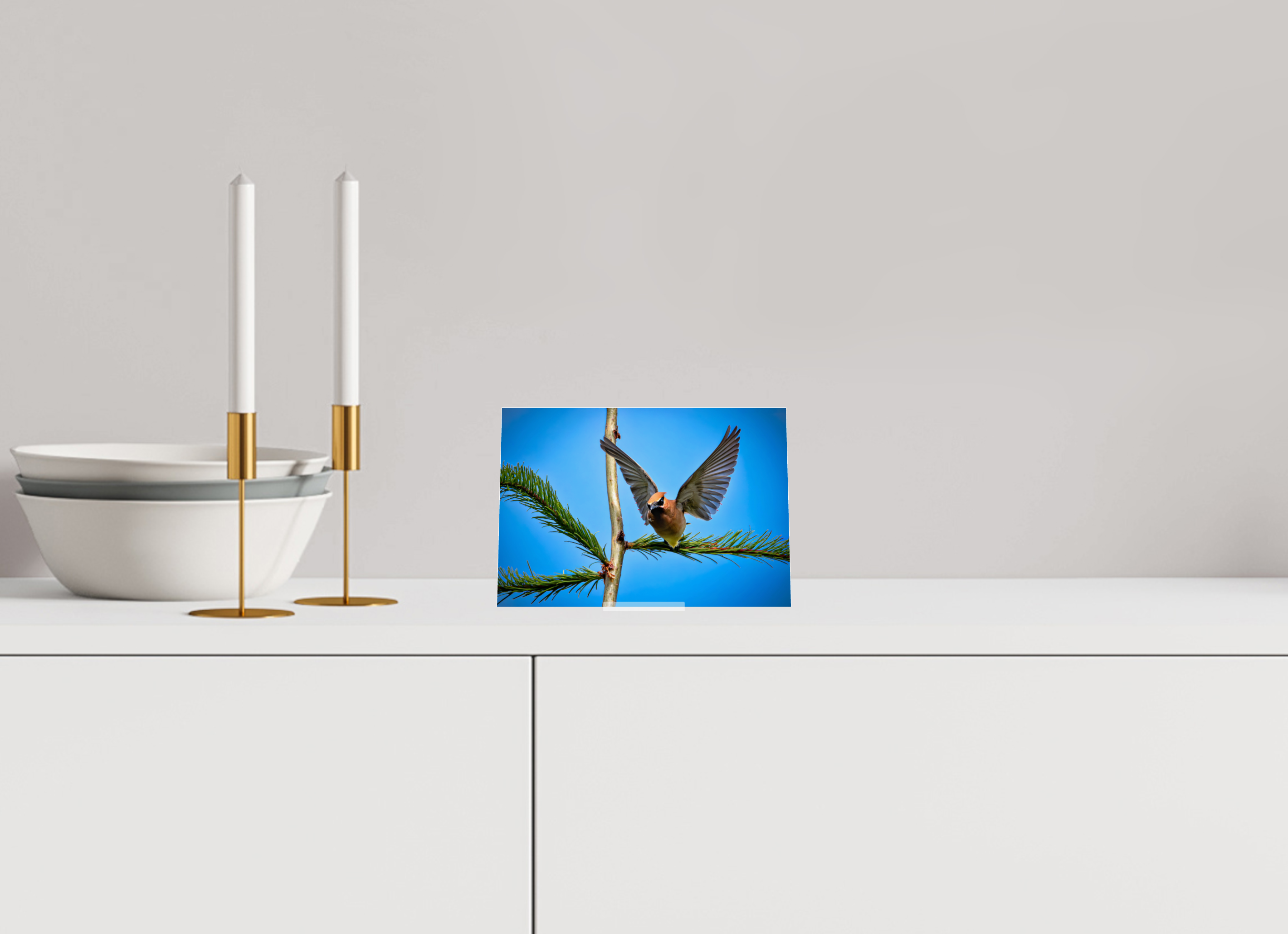 7.2 x 5″, Acrylic Glass on Stand Wing of the Waxwing