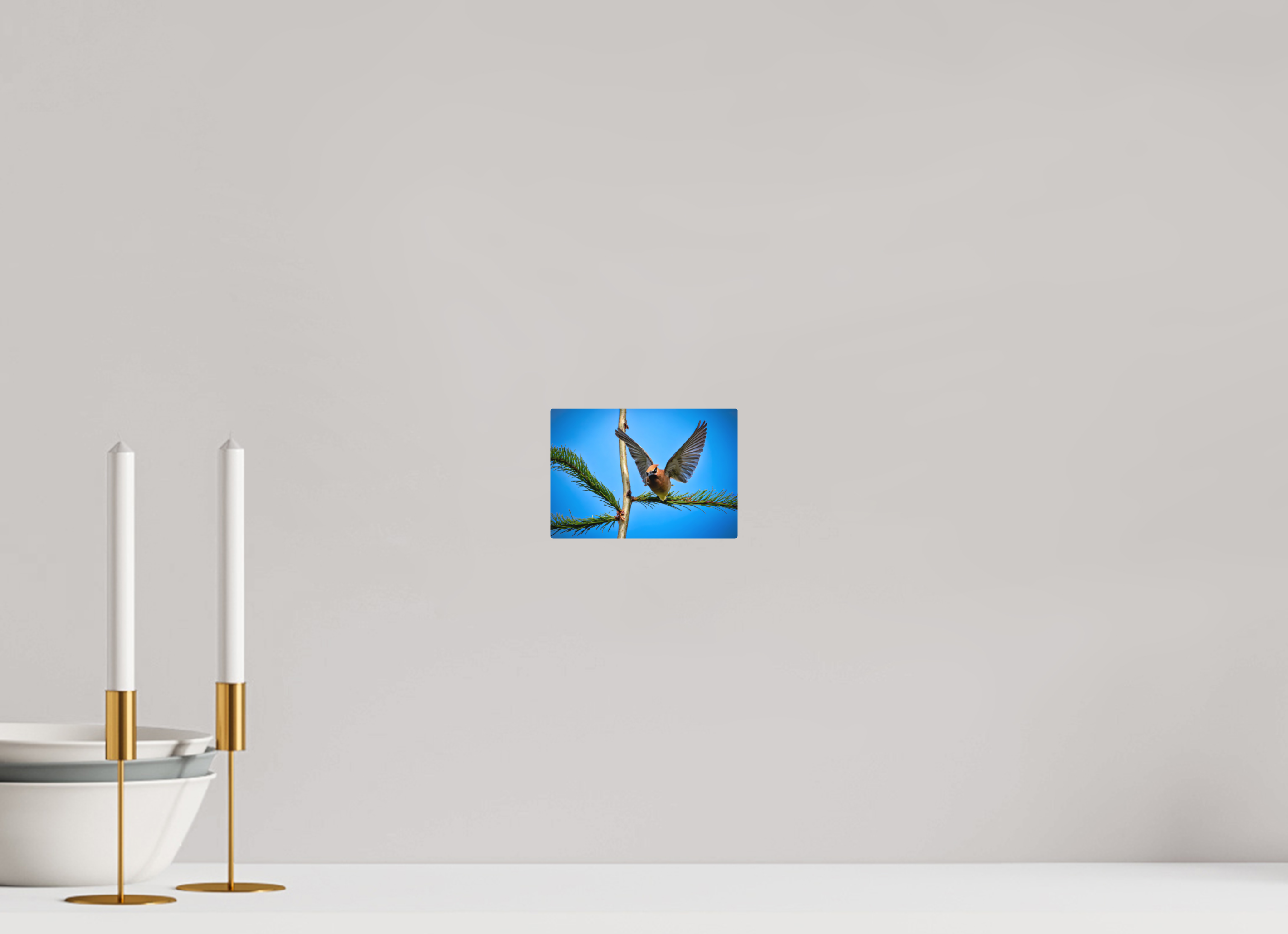 5.8 x 4″, Direct Print on Aluminum with mounting hardware included. Wing of the Waxwing