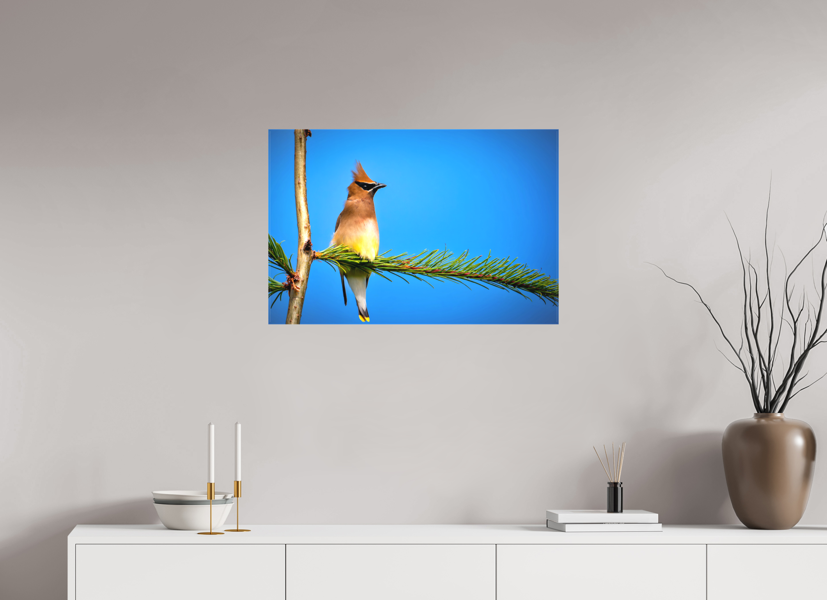 30 x 20″, Matte Canvas with Wrapped Edges Waxwing