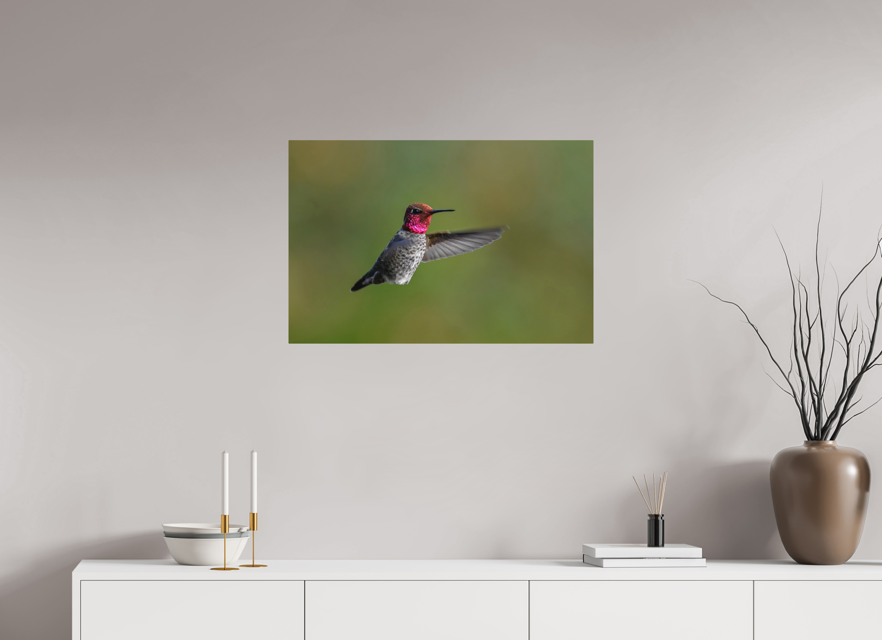 30 x 20″, Direct Print on Aluminum with mounting hardware included. Glowing Anna's