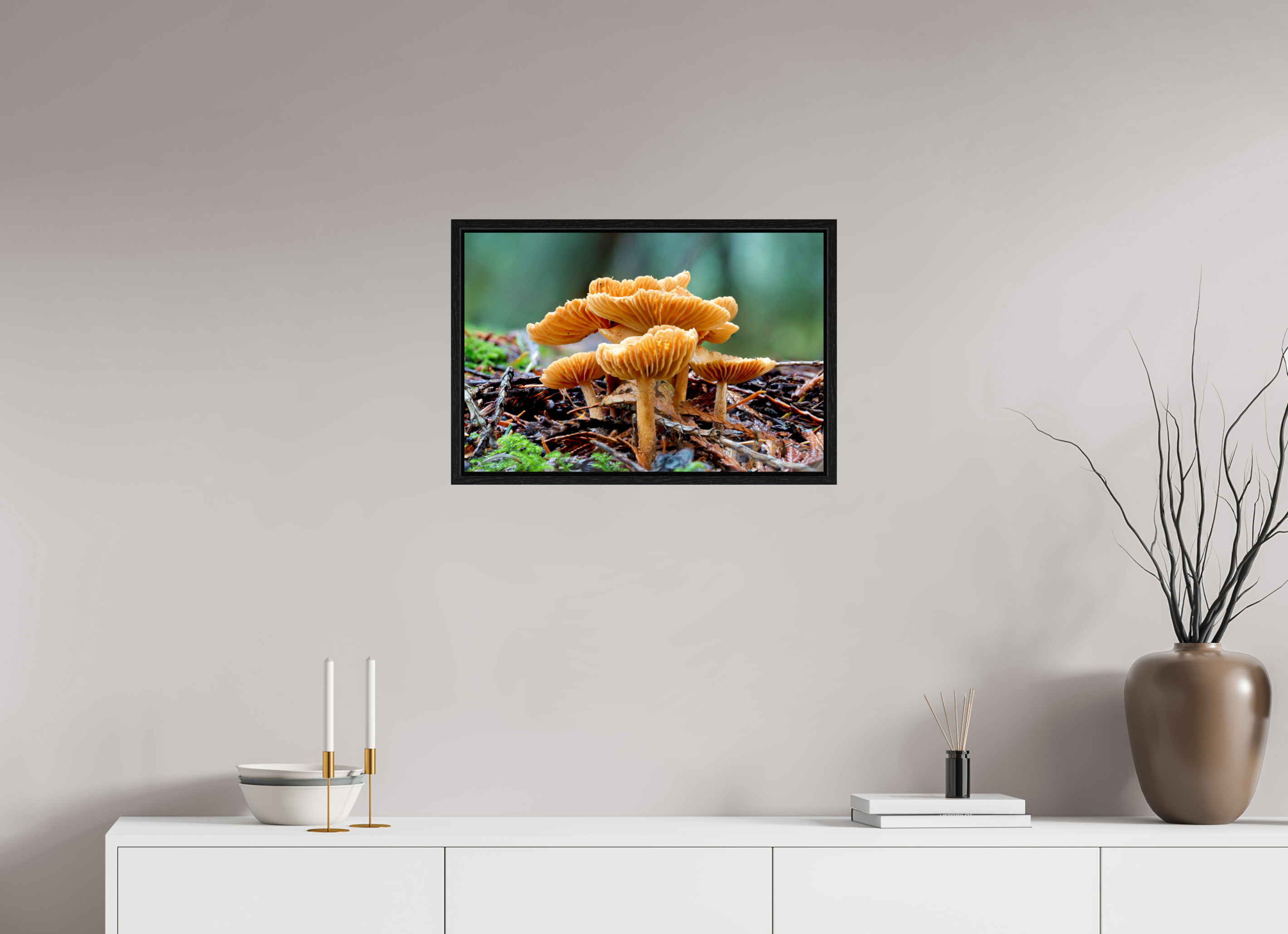 24 x 16″, Floater Frame Family of Fungi