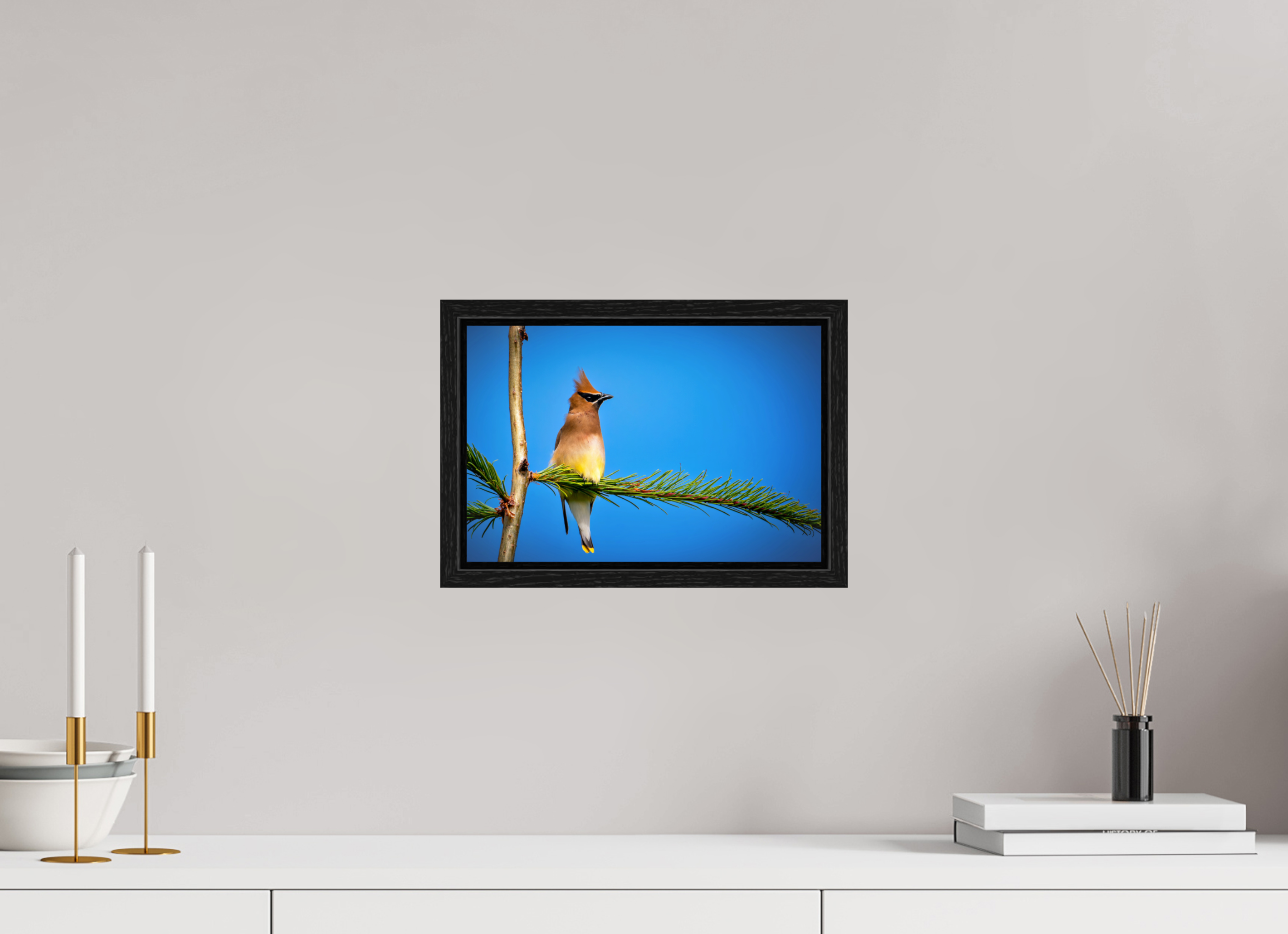 12 x 8″, Floater Frame Waxwing