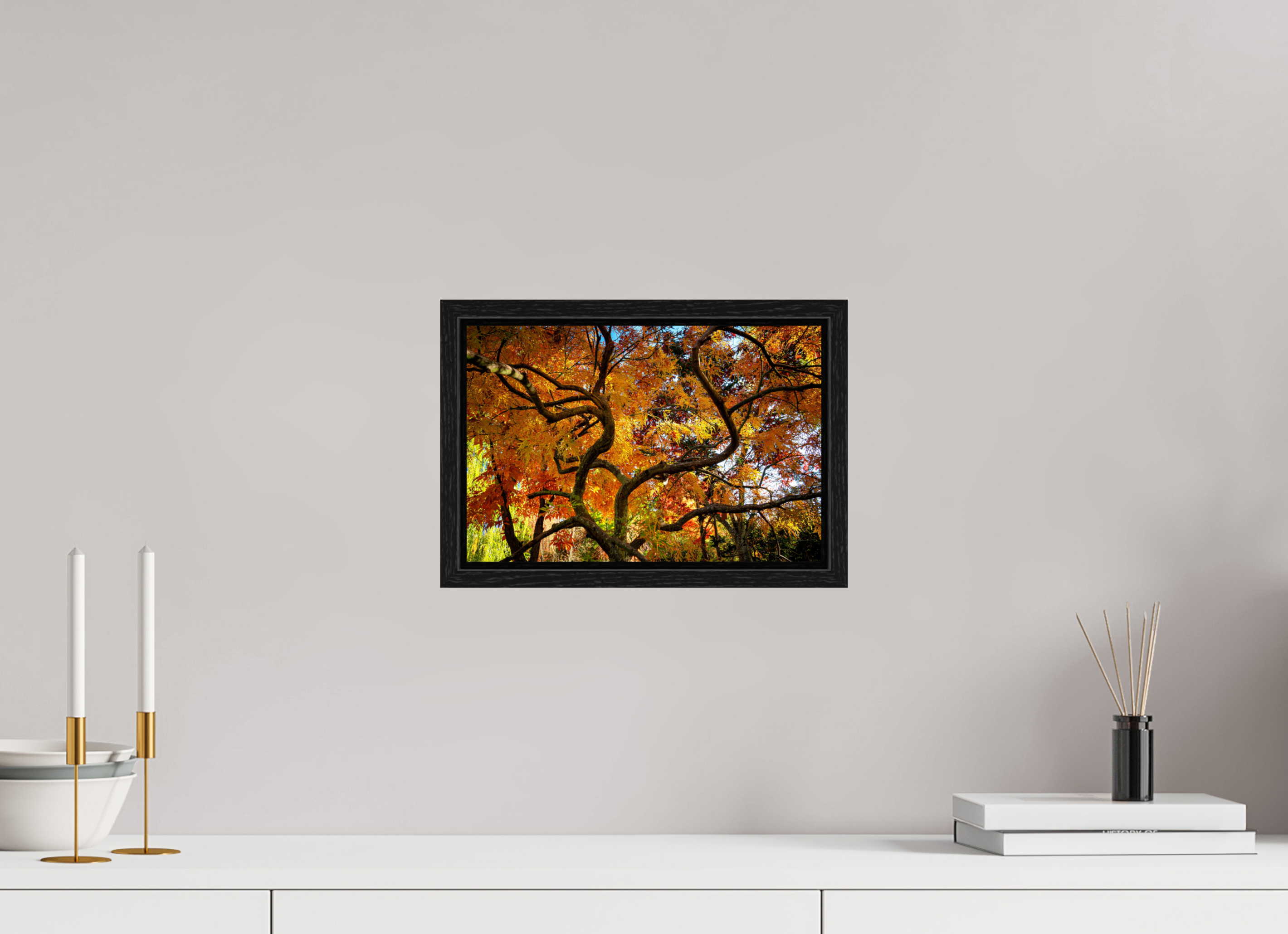 12 x 8″, Floater Frame Autumn Maple