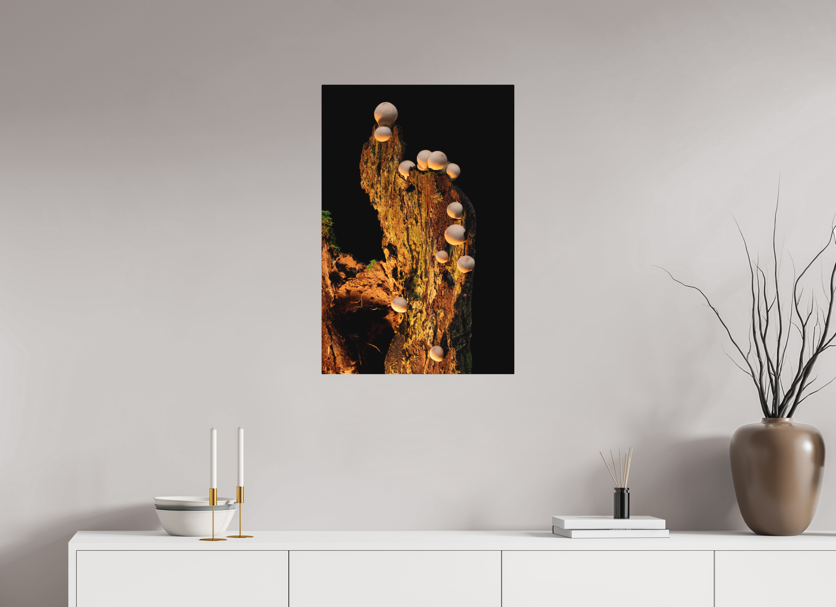 20 x 30″, Direct Print on Aluminum with mounting hardware included. Stepping Mushrooms